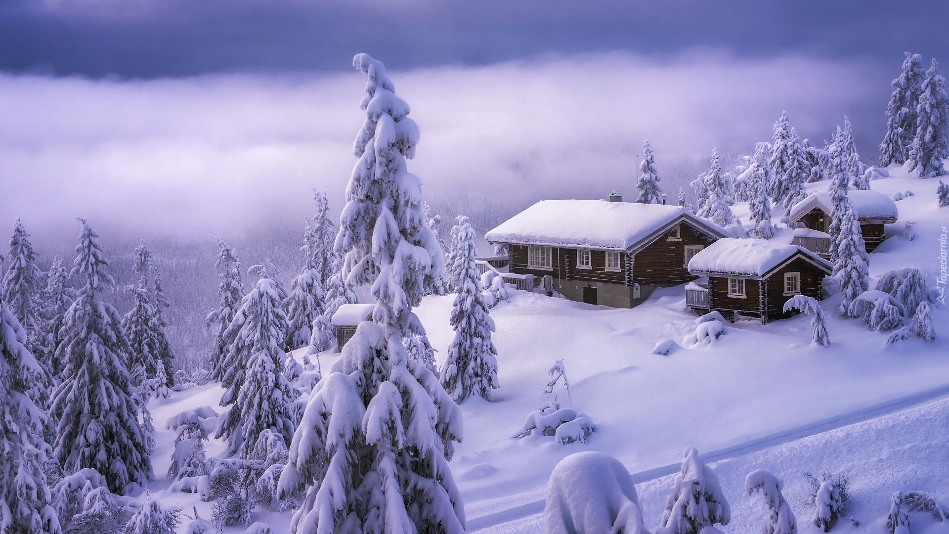 Zima, Ośnieżone, Drzewa, Domy, Valdres, Norwegia