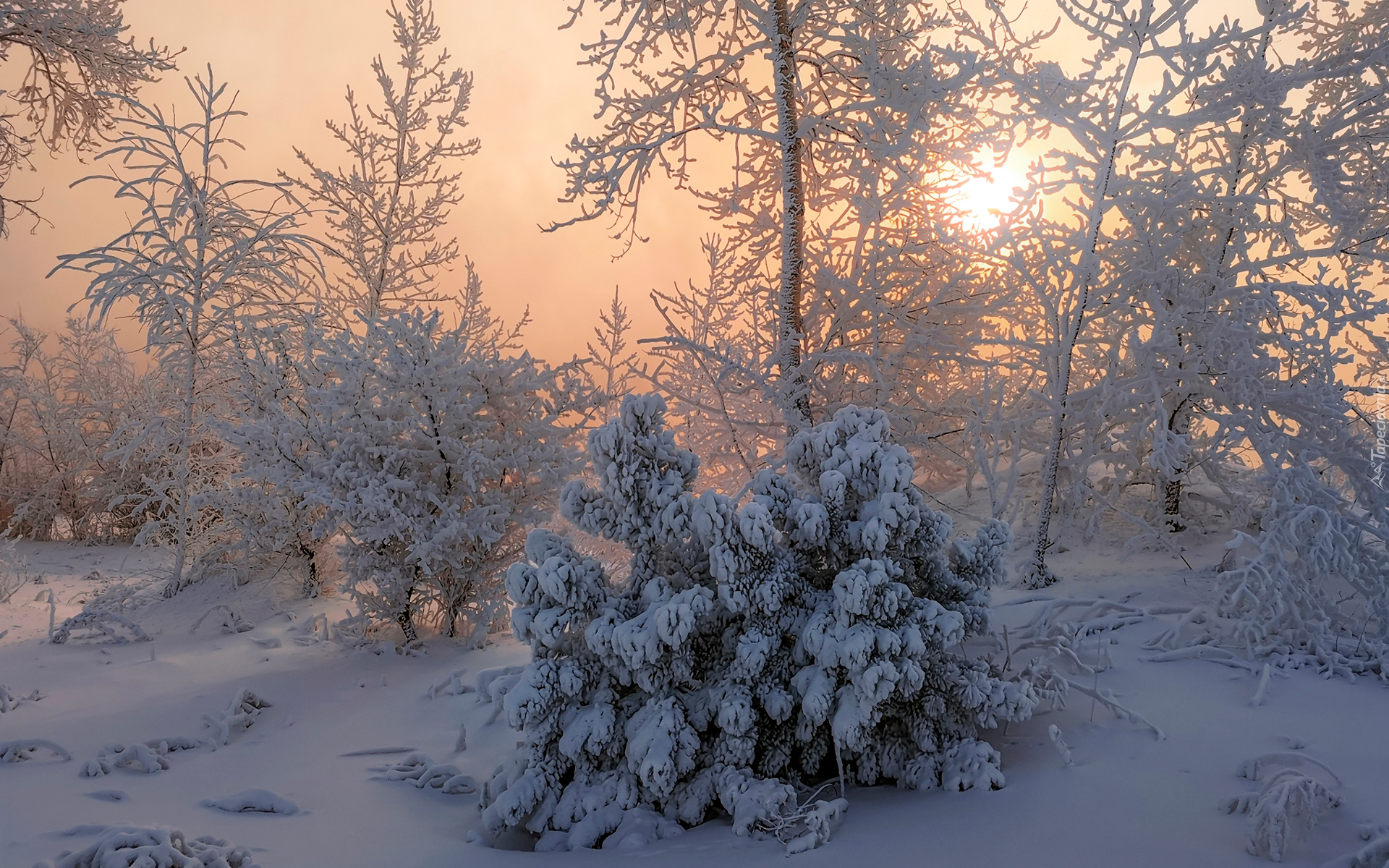 Снежное утро красивые