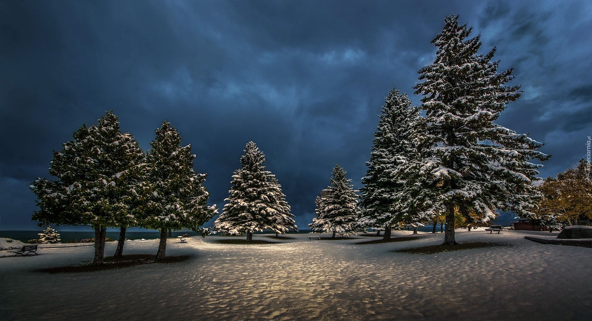 Zima, Park, Ławeczki, Ośnieżone, Drzewa, Noc