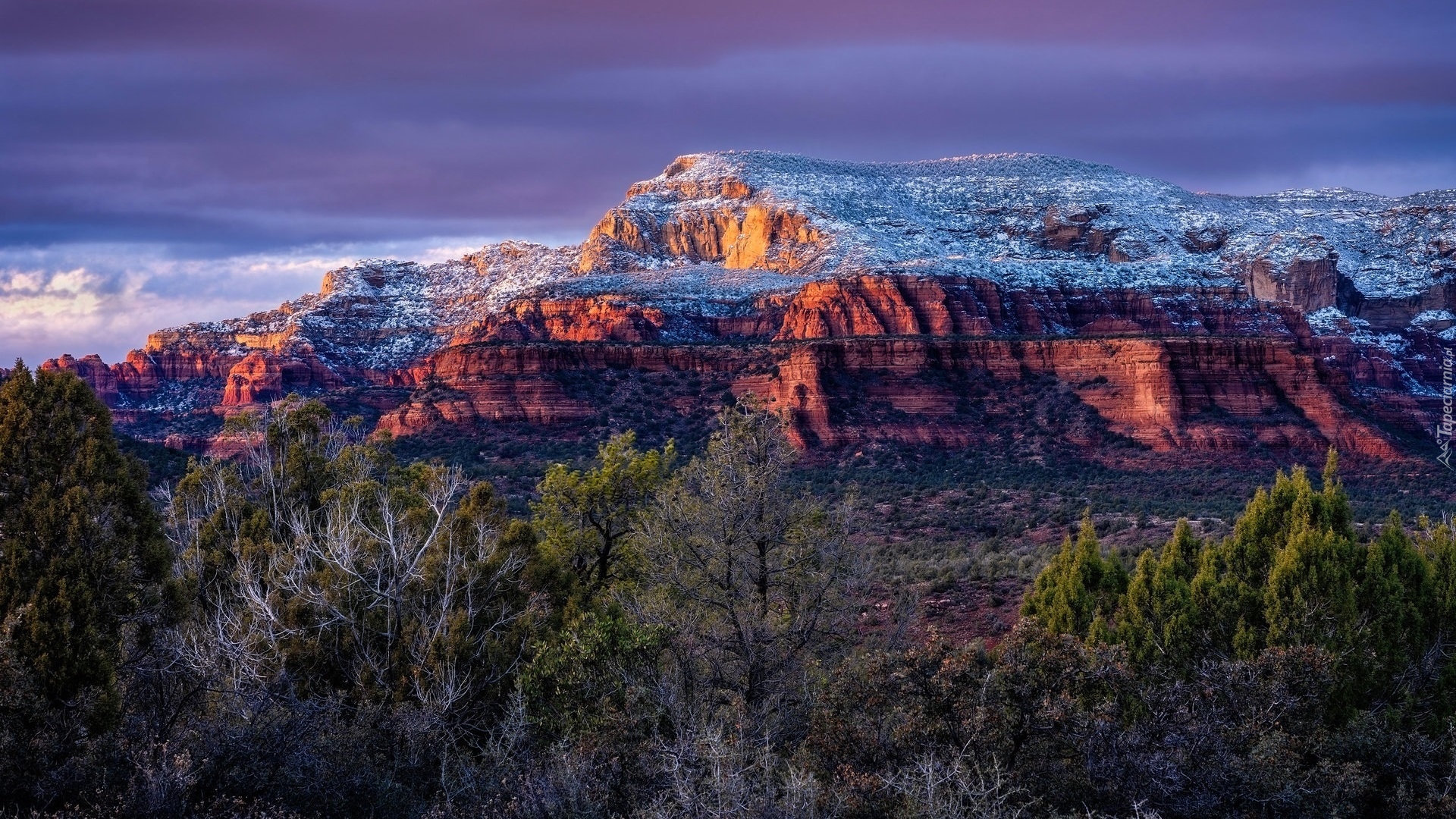 Czerwone, Skały, Drzewa, Sedona, Stan Arizona, Stany Zjednoczone