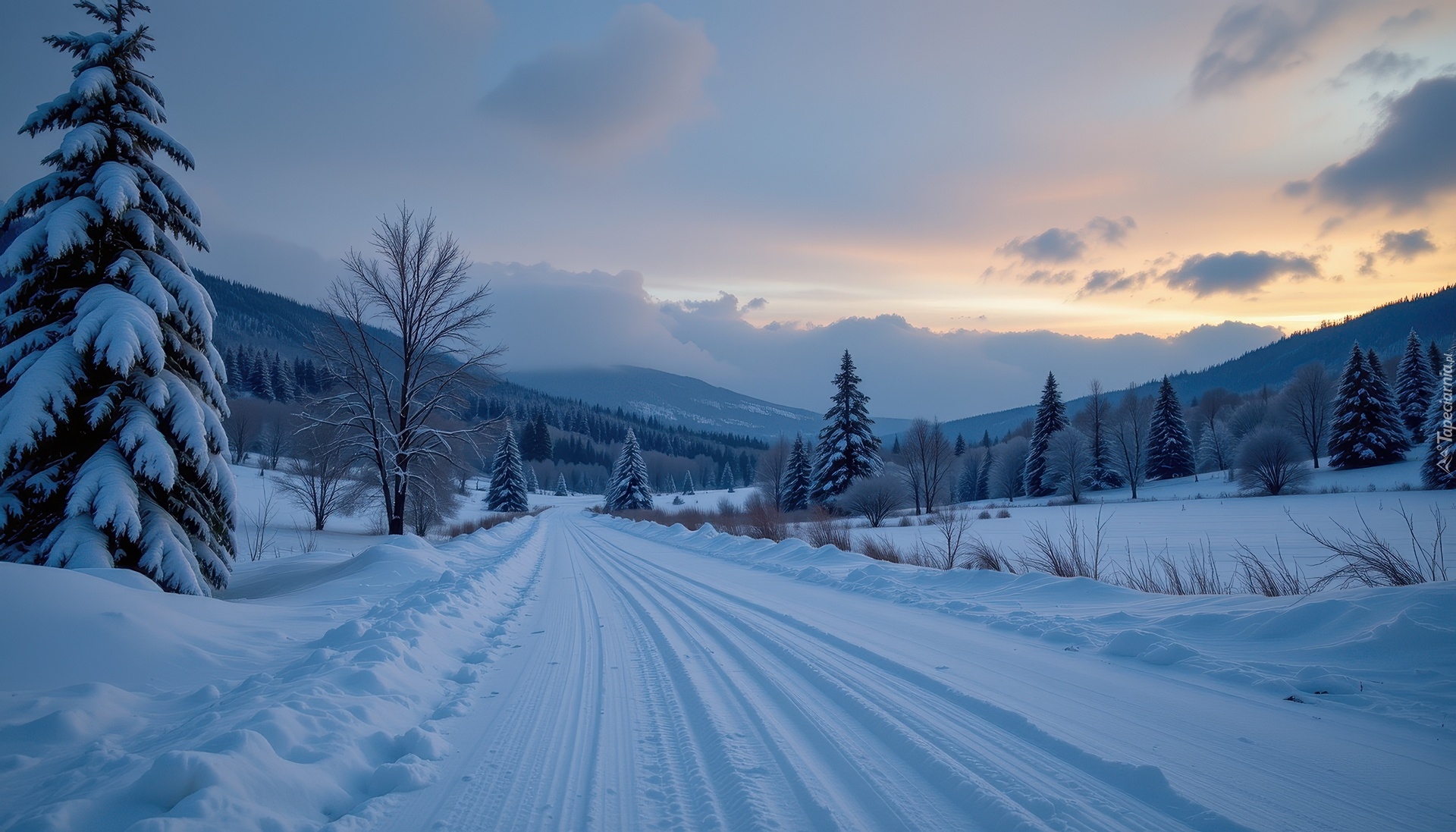 Zima, Droga, Drzewa, Góry, Grafika AI