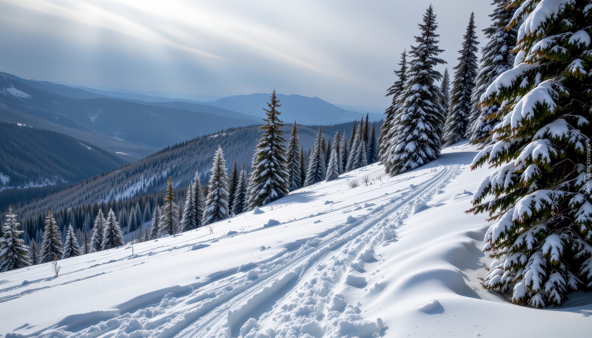 Zima, Zbocze, Drzewa, Góry, Grafika AI