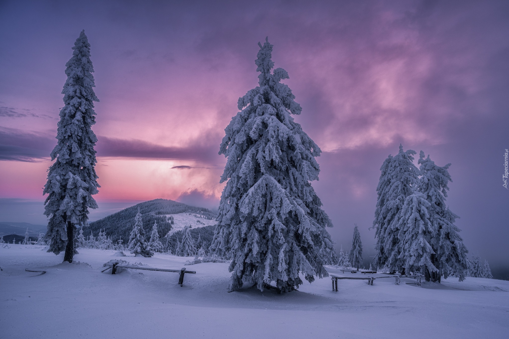 Zima, Śnieg, Góry, Ośnieżone, Drzewa, Chmury, Beskid Żywiecki, Polska