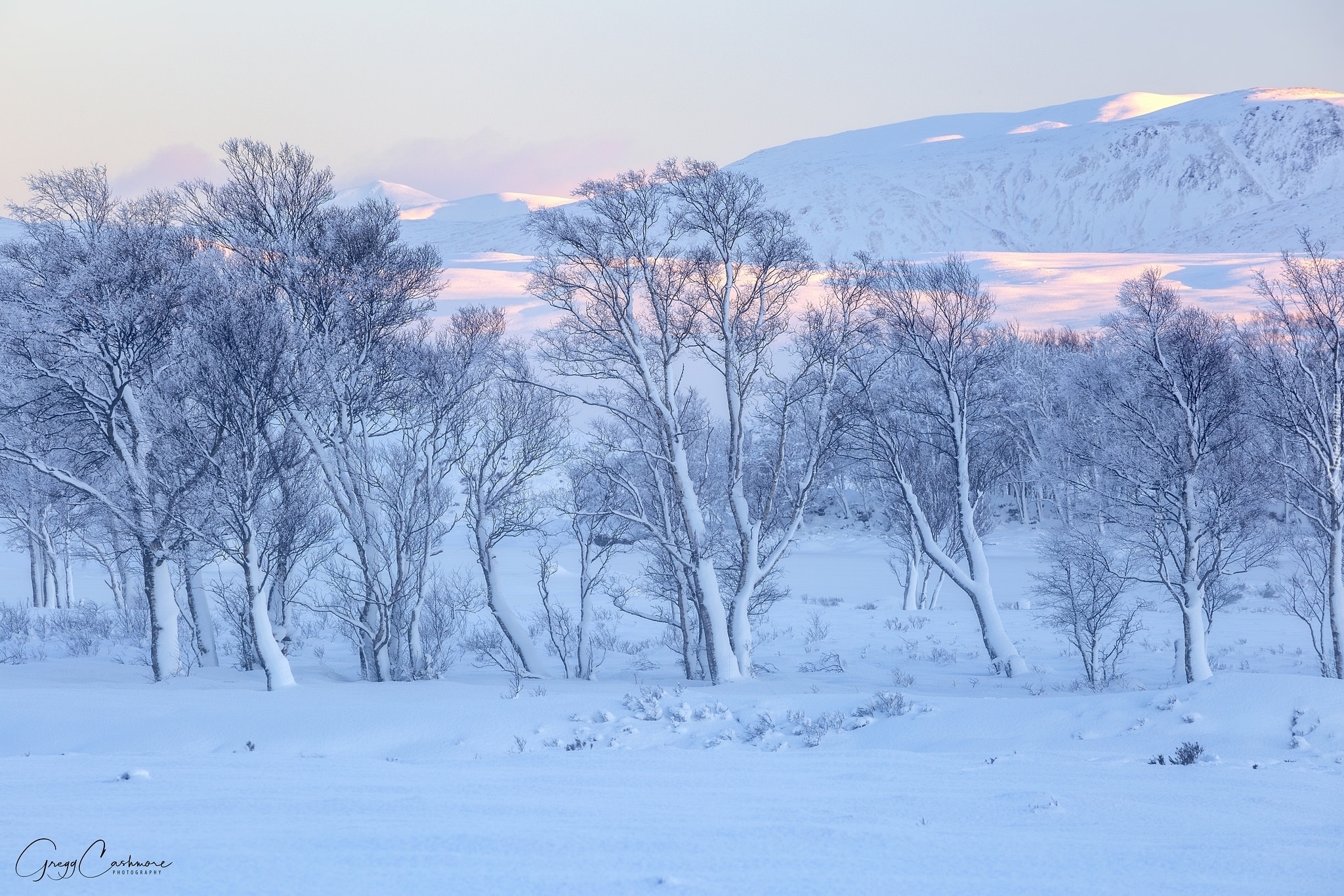 Zima, Drzewa, Góry Rannoch Moor, Wieś Glencoe, Szkocja