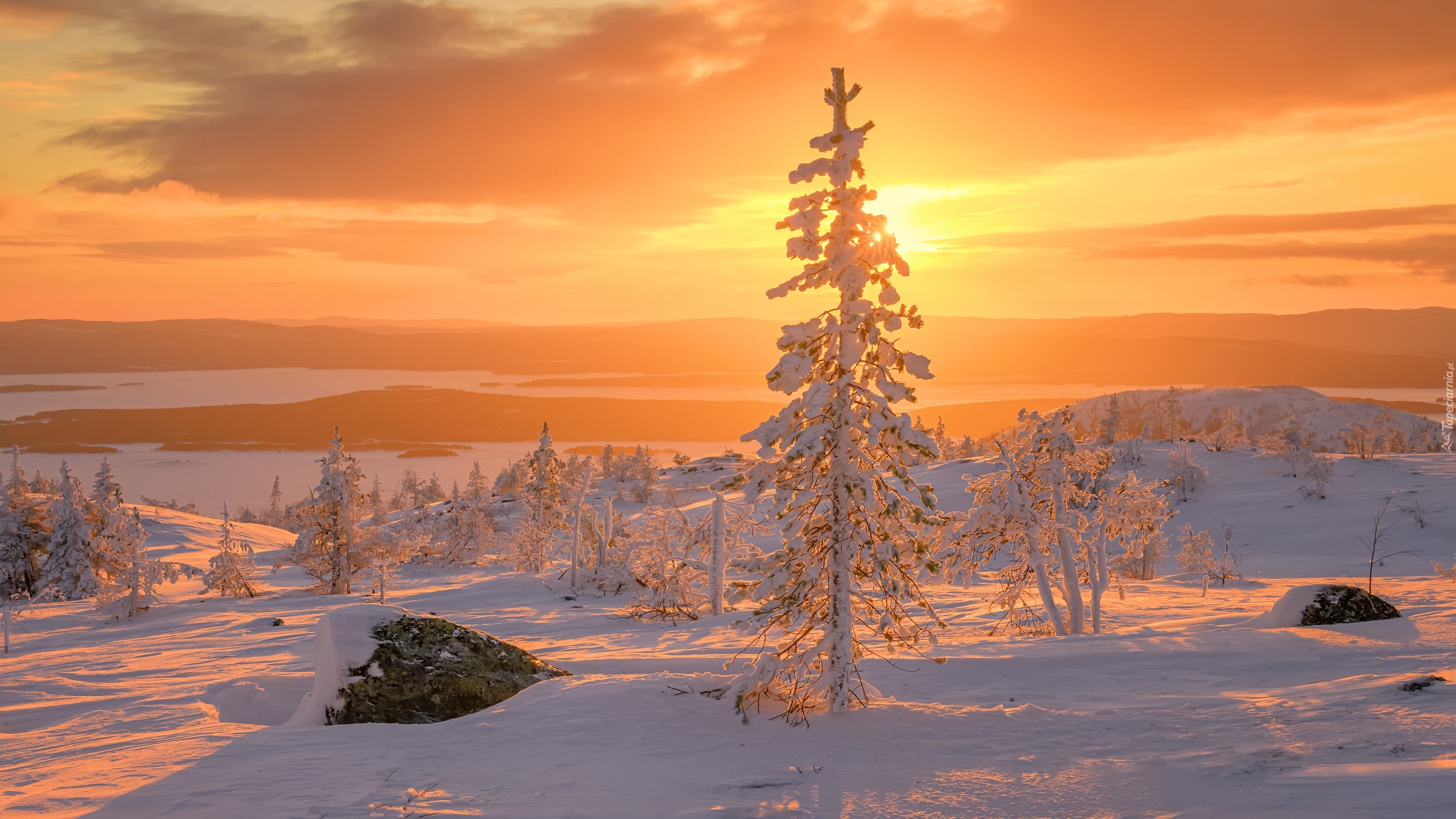 Rosja, Półwysep Kolski, Zima, Ośnieżone, Drzewa, Zachód słońca, Kamienie