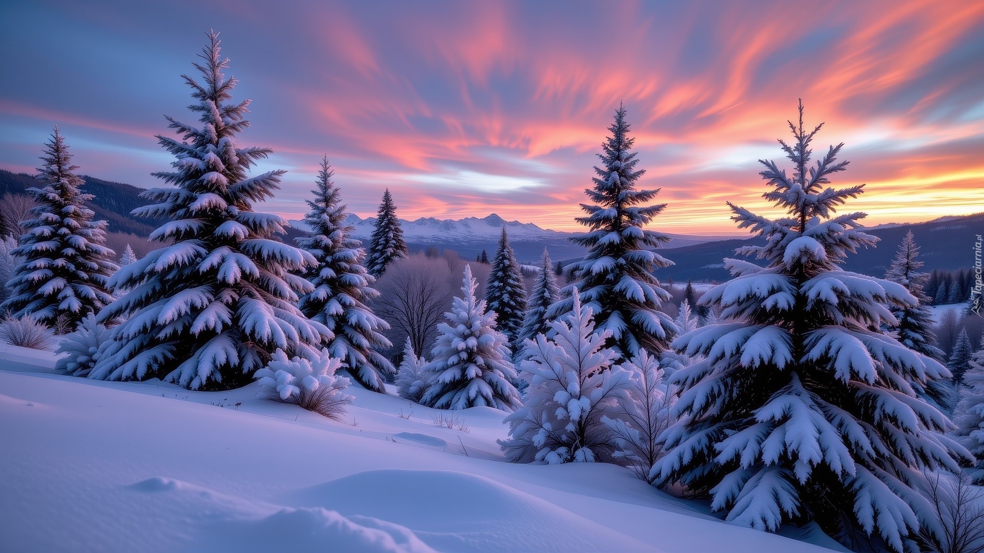 Wschód słońca, Zima, Ośnieżone, Drzewa, Zbocze