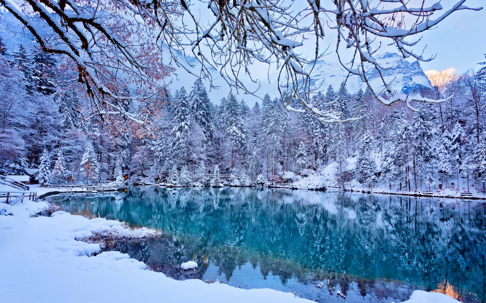 Szwajcaria, Jezioro, Blausee, Zima, Drzewa, Gałęzie, Ośnieżone