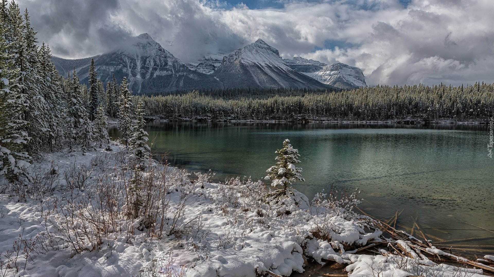 Zima, Góry, Chmury, Jezioro, Herbert Lake, Ośnieżone, Drzewa, Park Narodowy Banff, Kanada