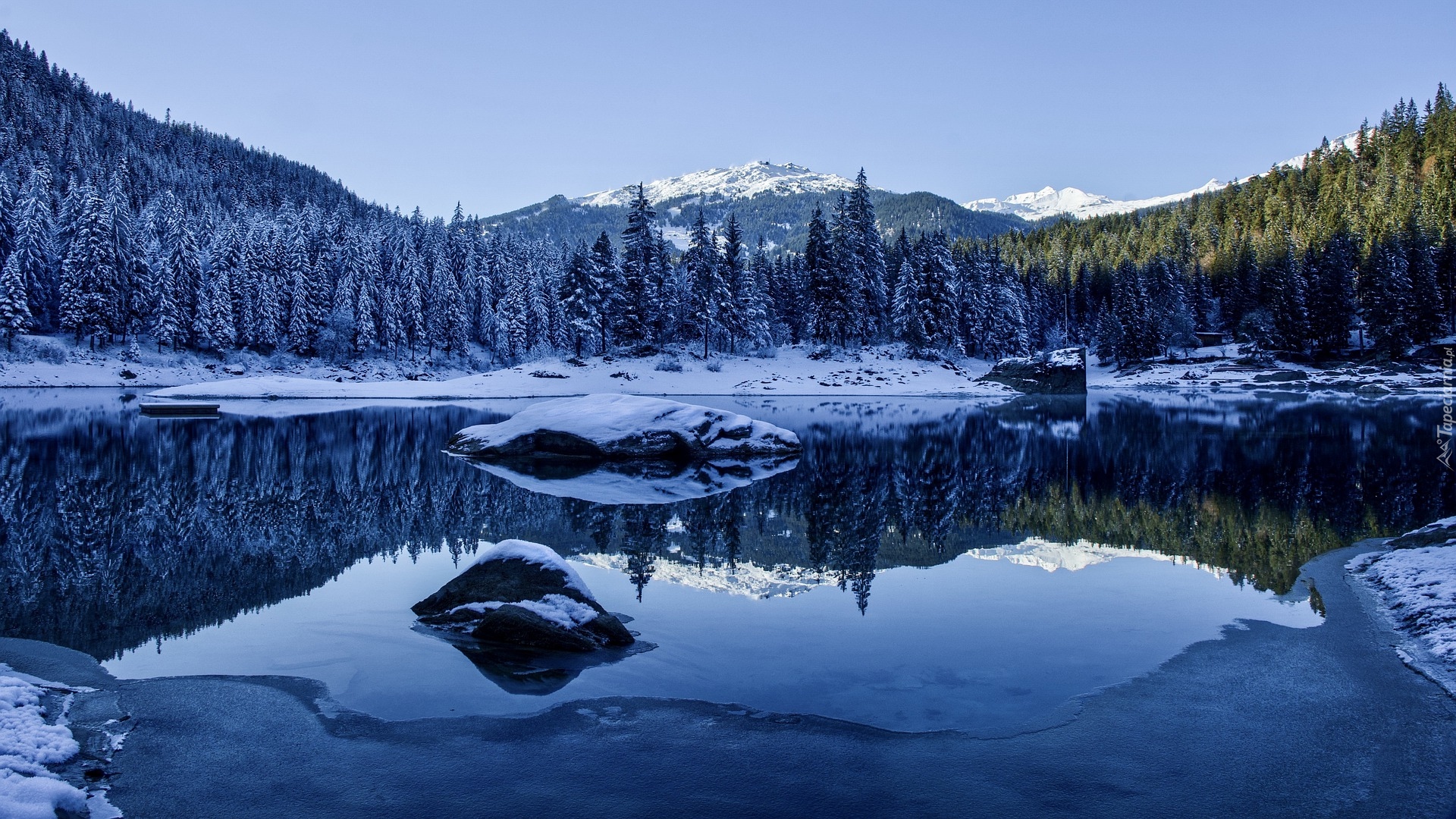 Zima, Jezioro Caumasee, Las, Drzewa, Góry, Szwajcaria