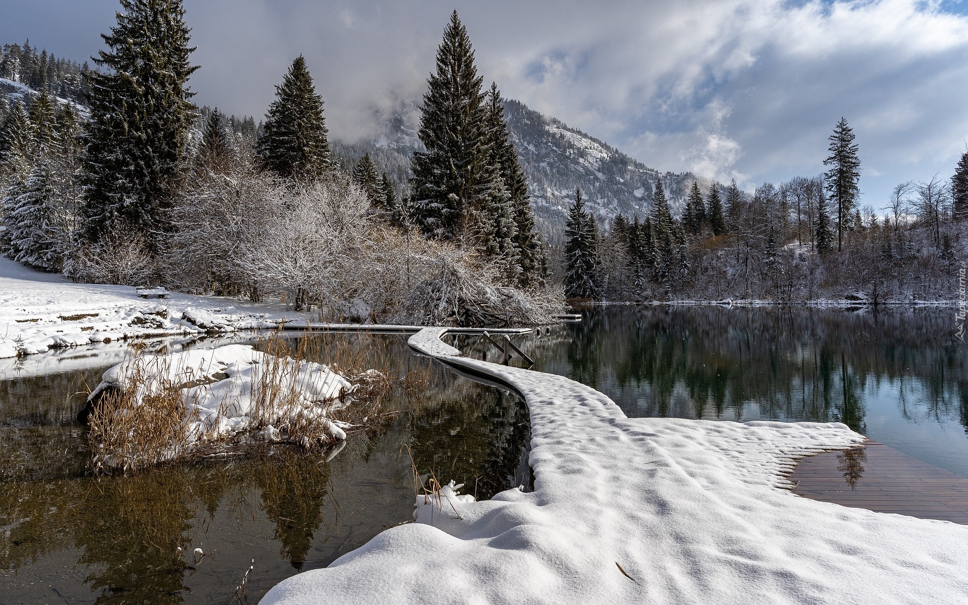 Góry, Jezioro Cresta, Drzewa, Śnieg, Gryzonia, Szwajcaria