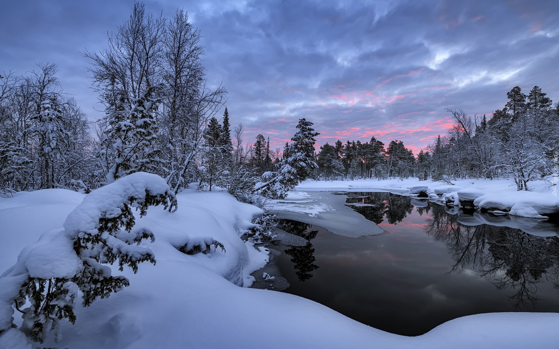 Rosja, Półwysep Kolski, Jezioro, Zima, Drzewa, Ośnieżone