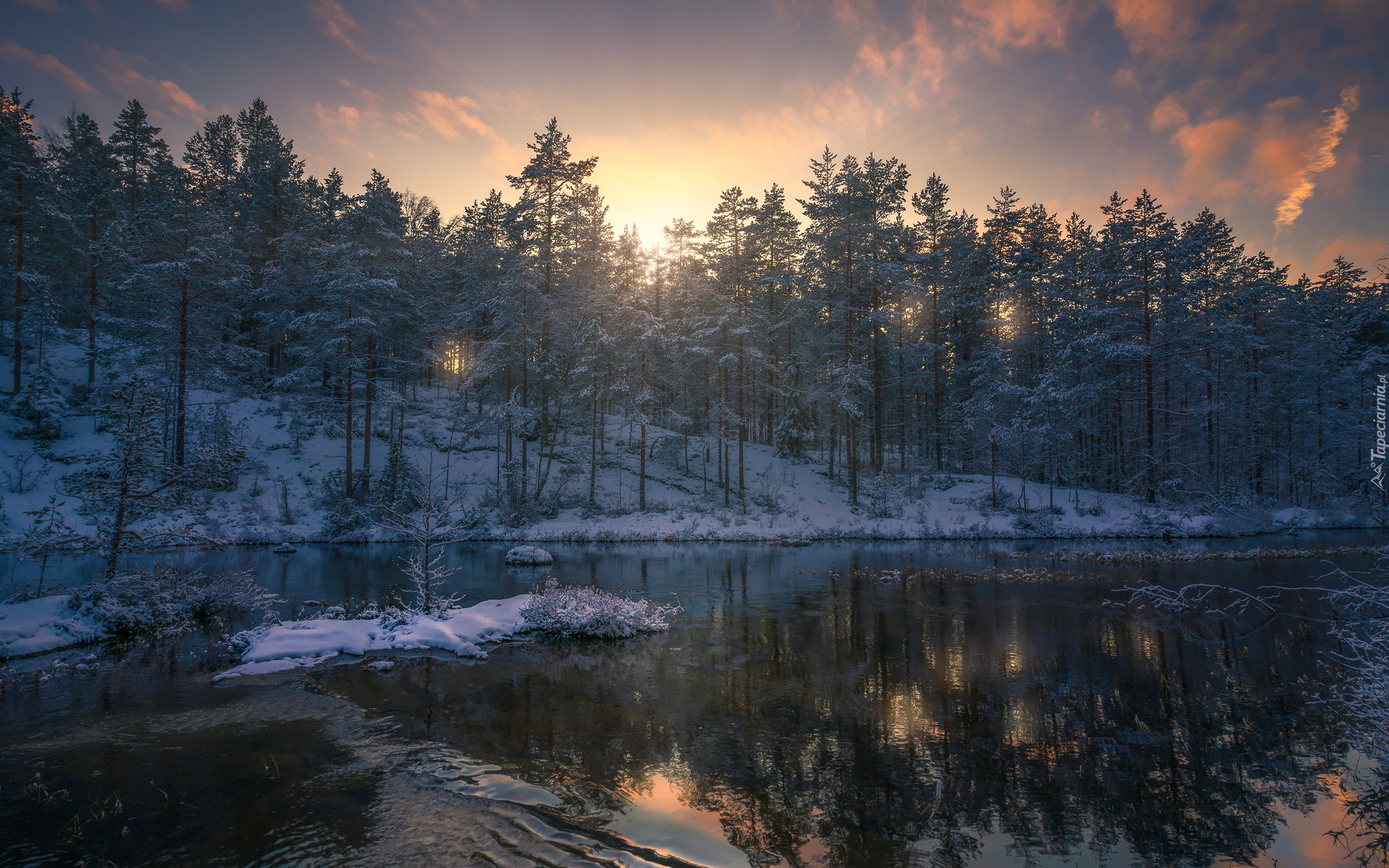 Zachód słońca, Jezioro, Zima, Drzewa, Ringerike, Norwegia