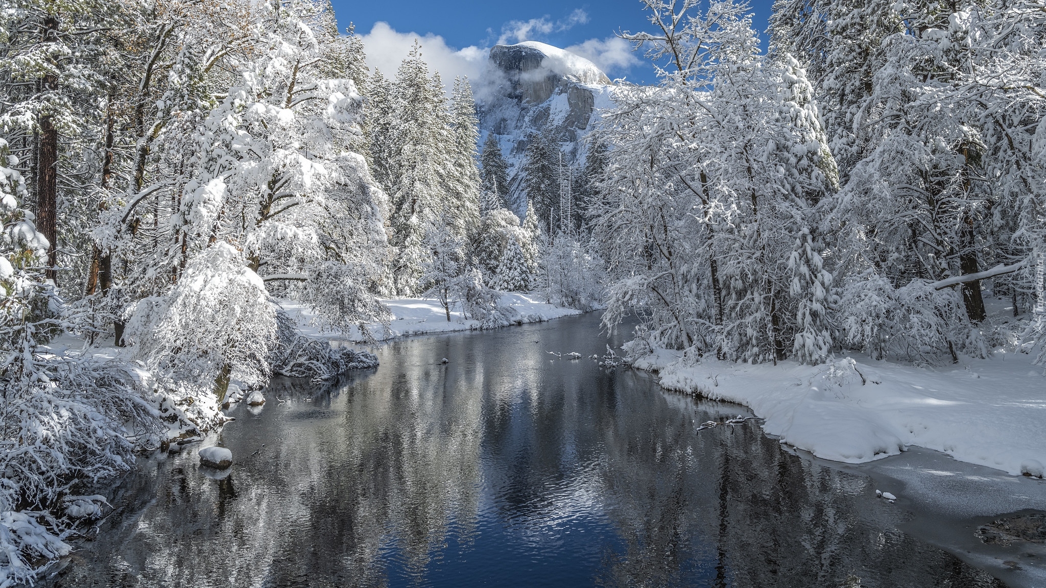 Zima, Drzewa, Rzeka, Merced River, Park Narodowy Yosemite, Kalifornia, Stany Zjednoczone