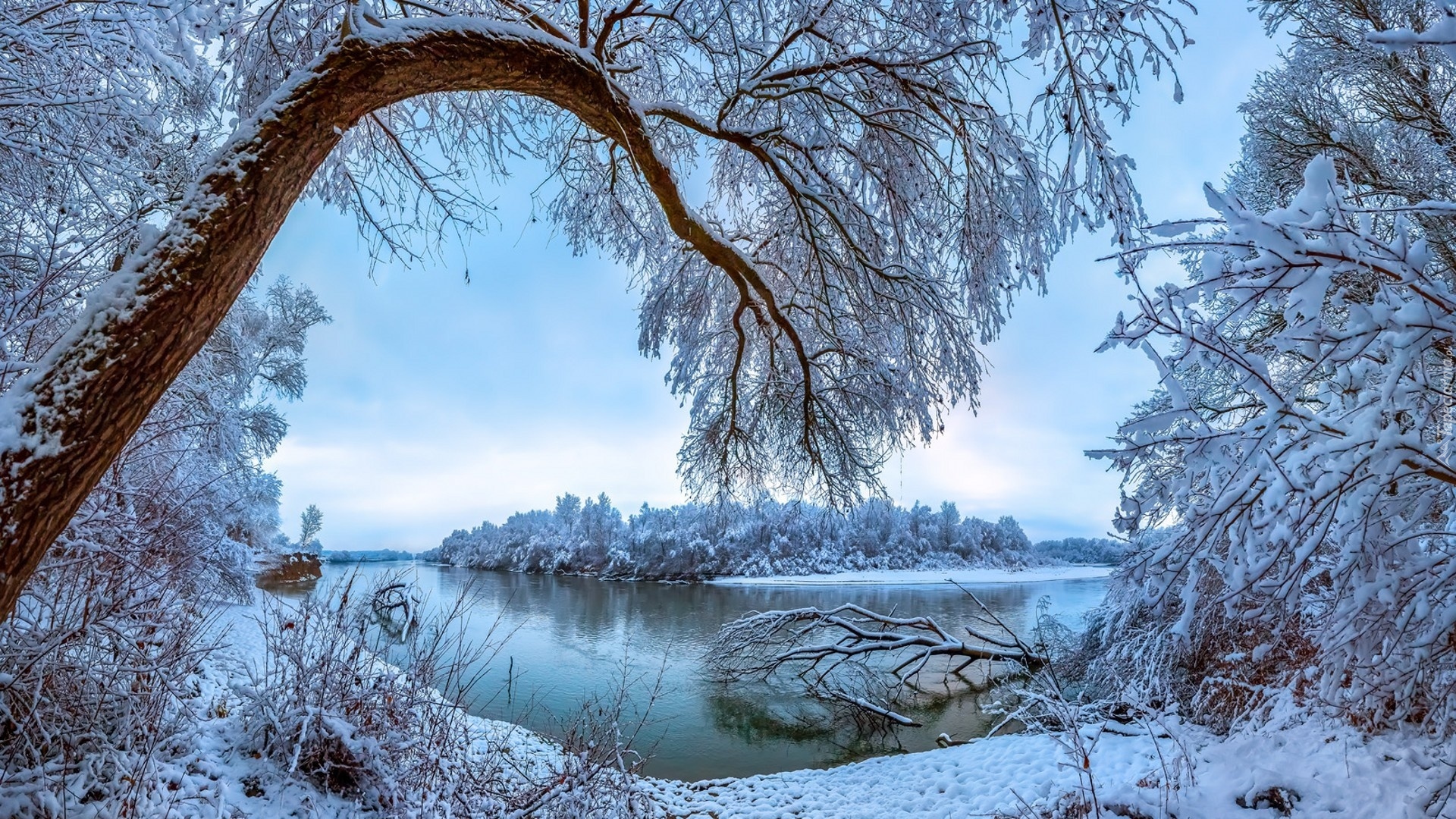 Zima, Rzeka Terek, Kraj Stawropolski, Rosja, Ośnieżone, Drzewa, Śnieg