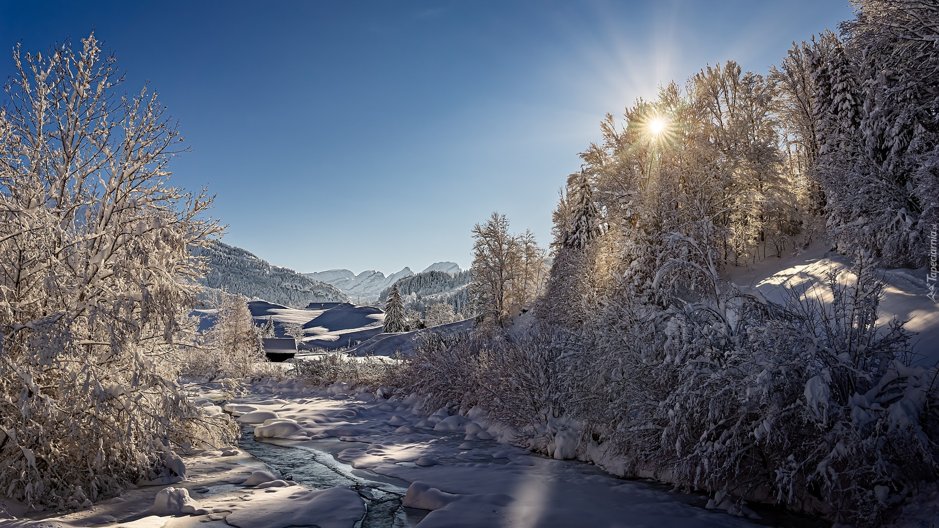 Zima, Góry, Rzeka, Thur River, Ośnieżone, Drzewa, Promienie słońca, Toggenburg, Szwajcaria