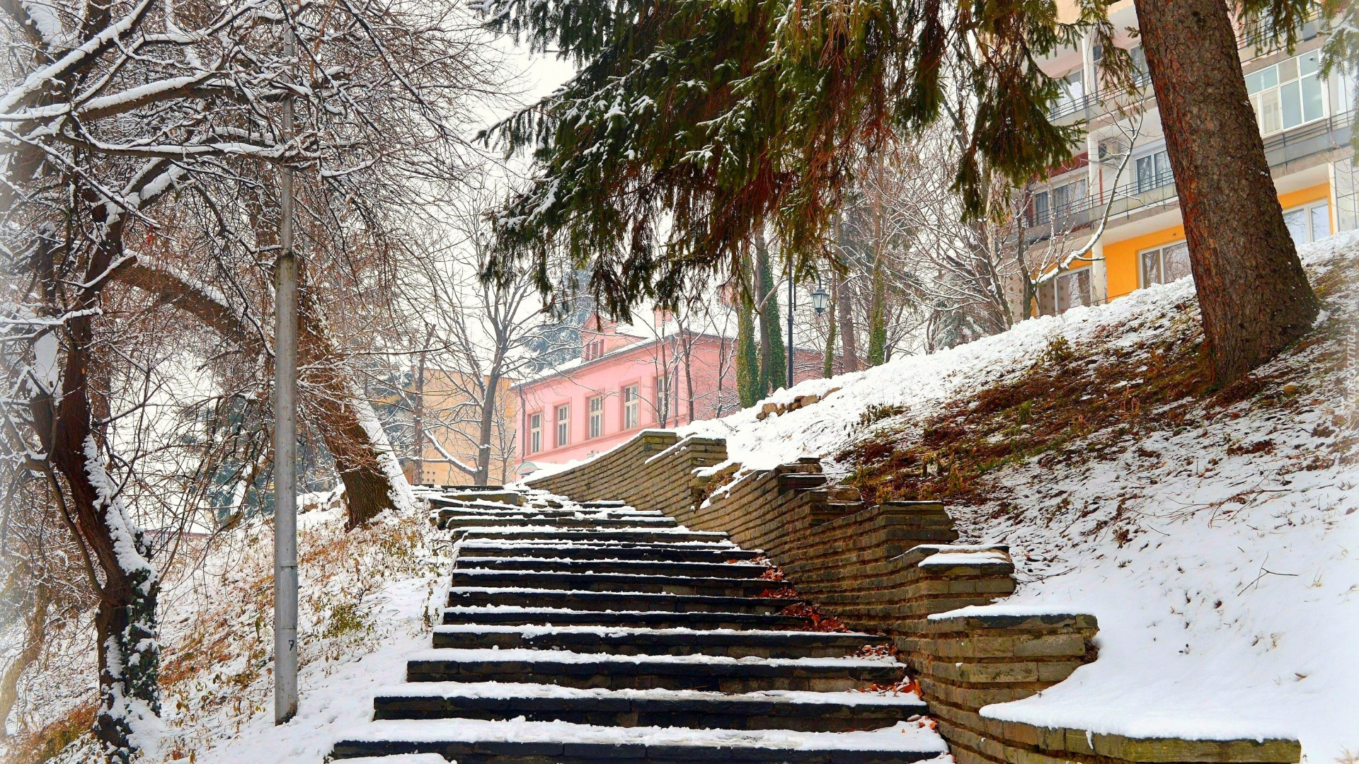 Zima, Śnieg, Park, Schody, Domy, Drzewa, Latarnia