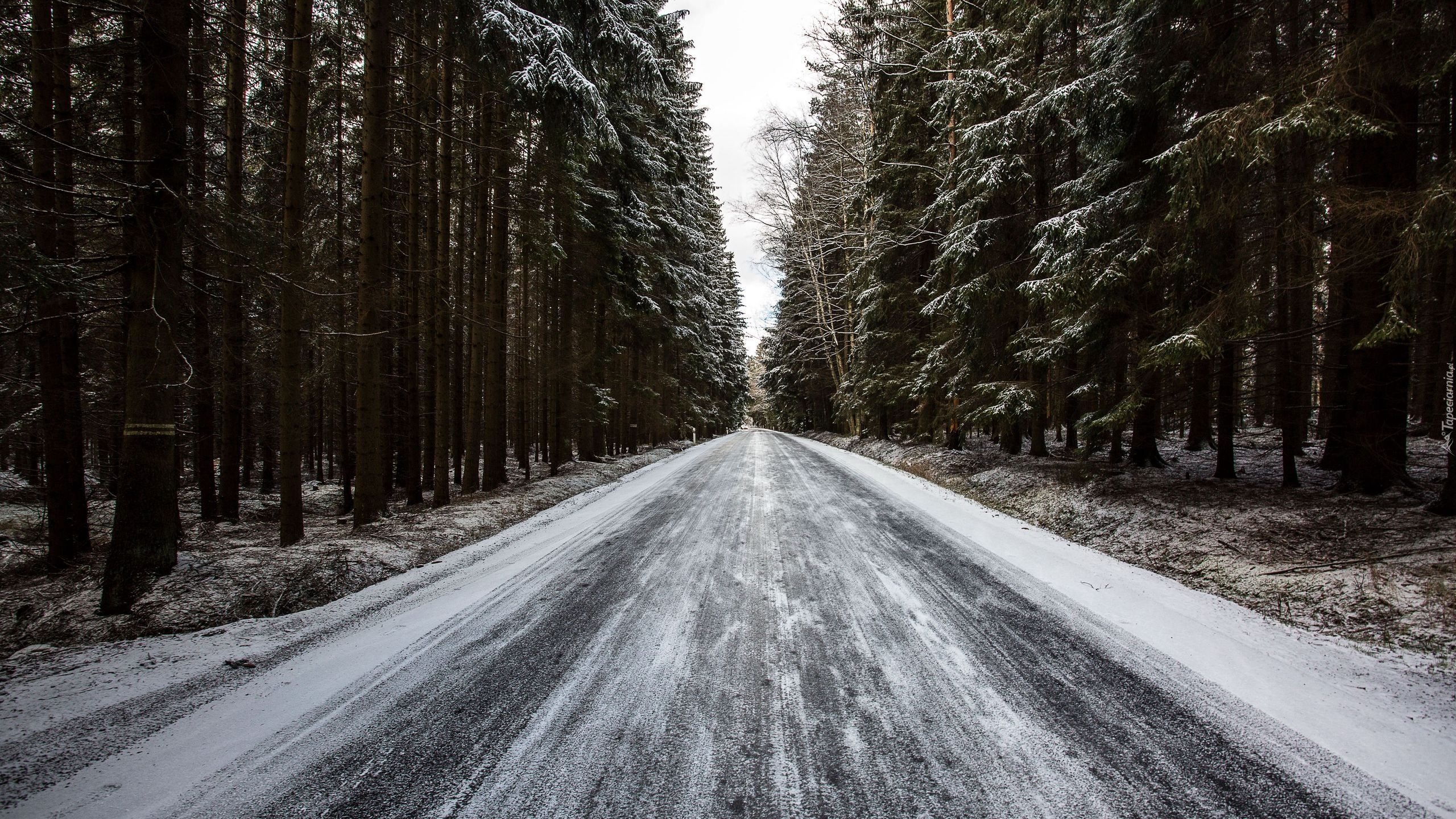 Droga, Las, Śnieg, Drzewa, Zima