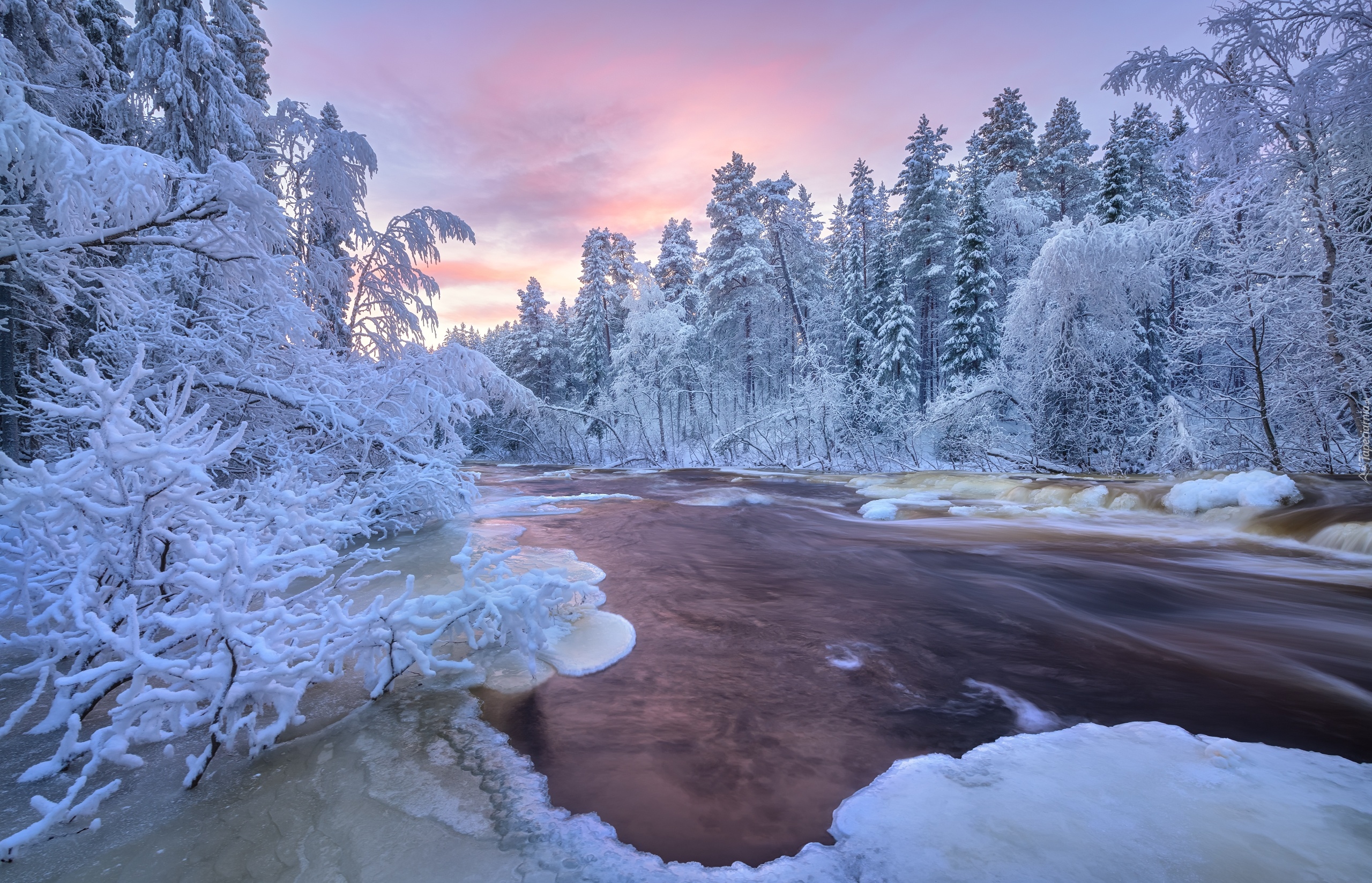 Zima, Rzeka, Drzewa, Roślinność