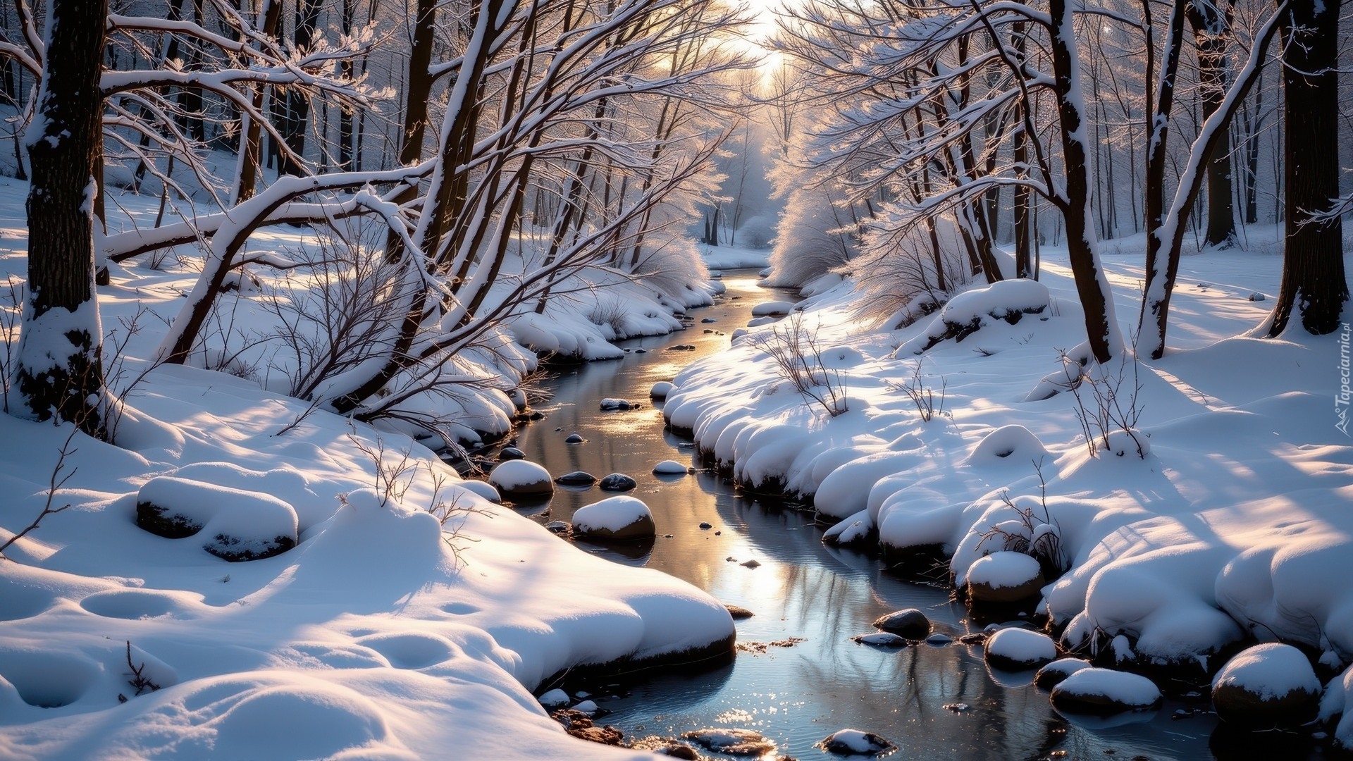 Zima, Las, Rzeka, Ośnieżone, Drzewa, Gałęzie