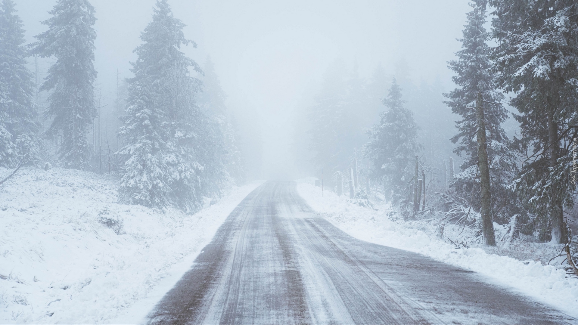 Droga, Zima, Śnieg, Drzewa, Mgła