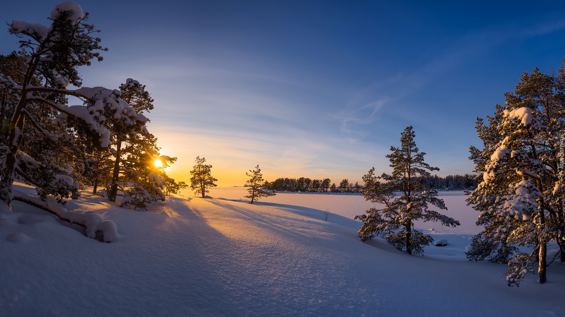 Zima, Ośnieżone, Drzewa, Zachód słońca, Kotka, Finlandia