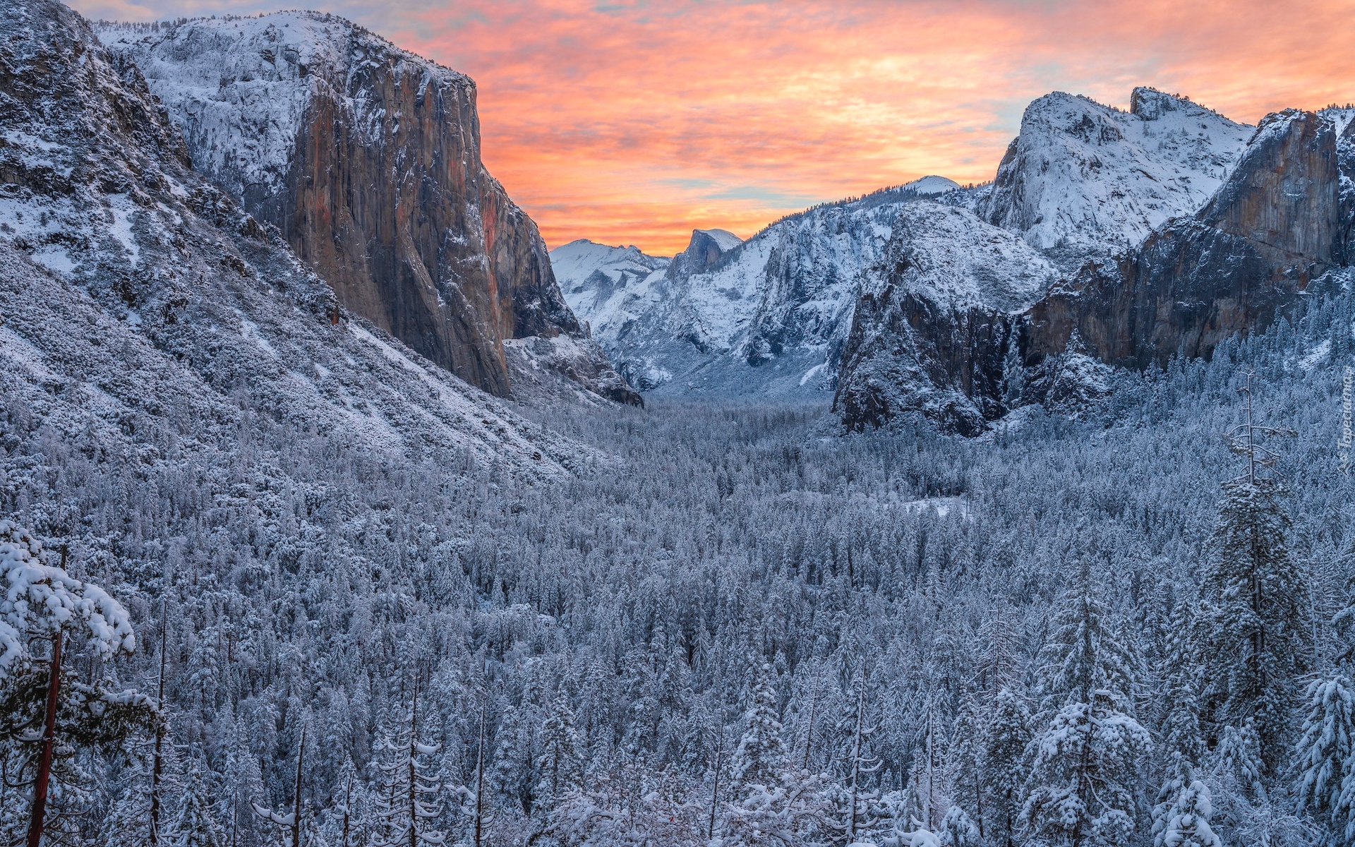 Park Narodowy Yosemite, Kalifornia, Stany Zjednoczone, Zima, Drzewa, Skały, Góra El Capitan