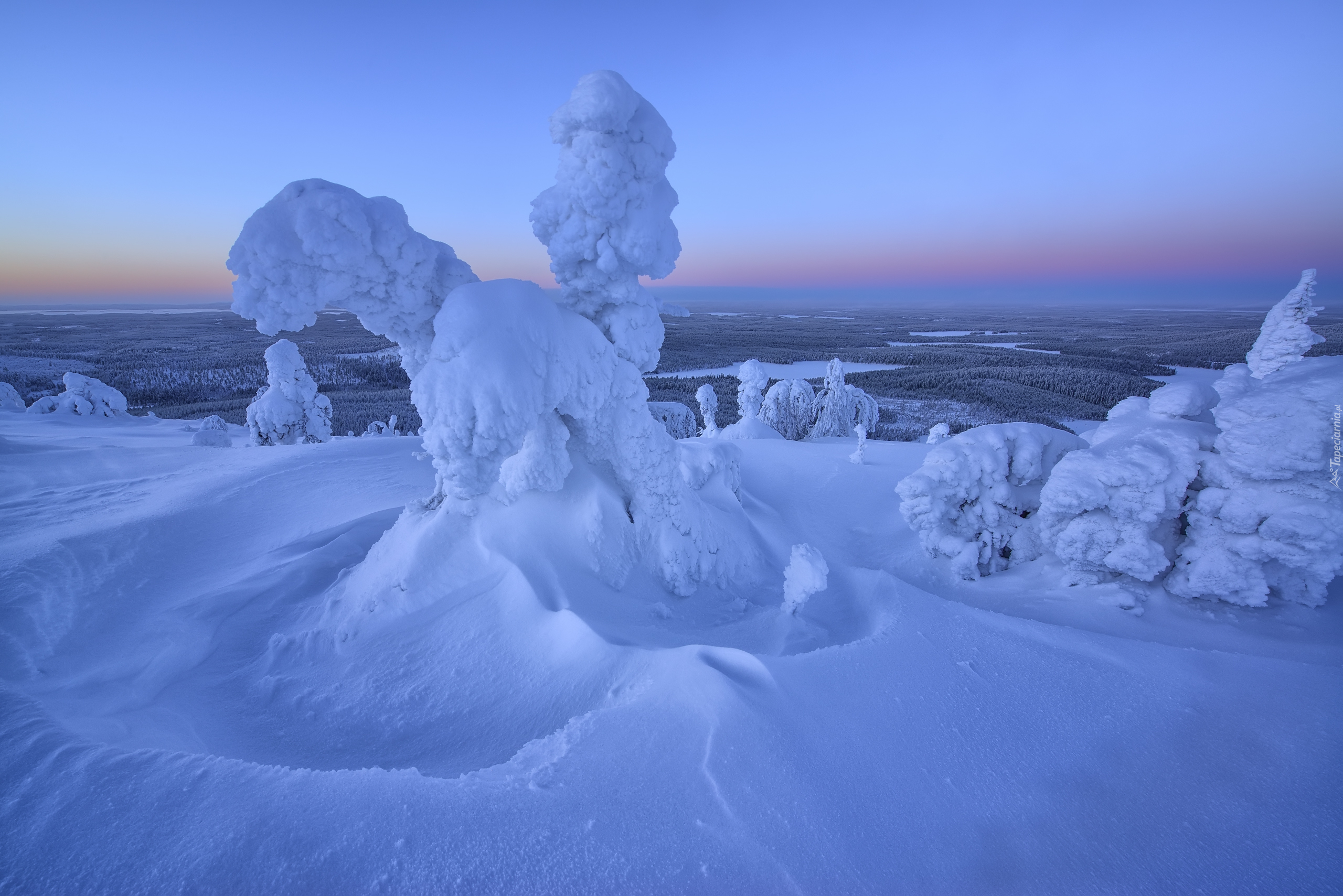  Zima, Drzewa, Mgła, Wschód słońca, Wzgórze, Rezerwat Valtavaara, Laponia, Finlandia