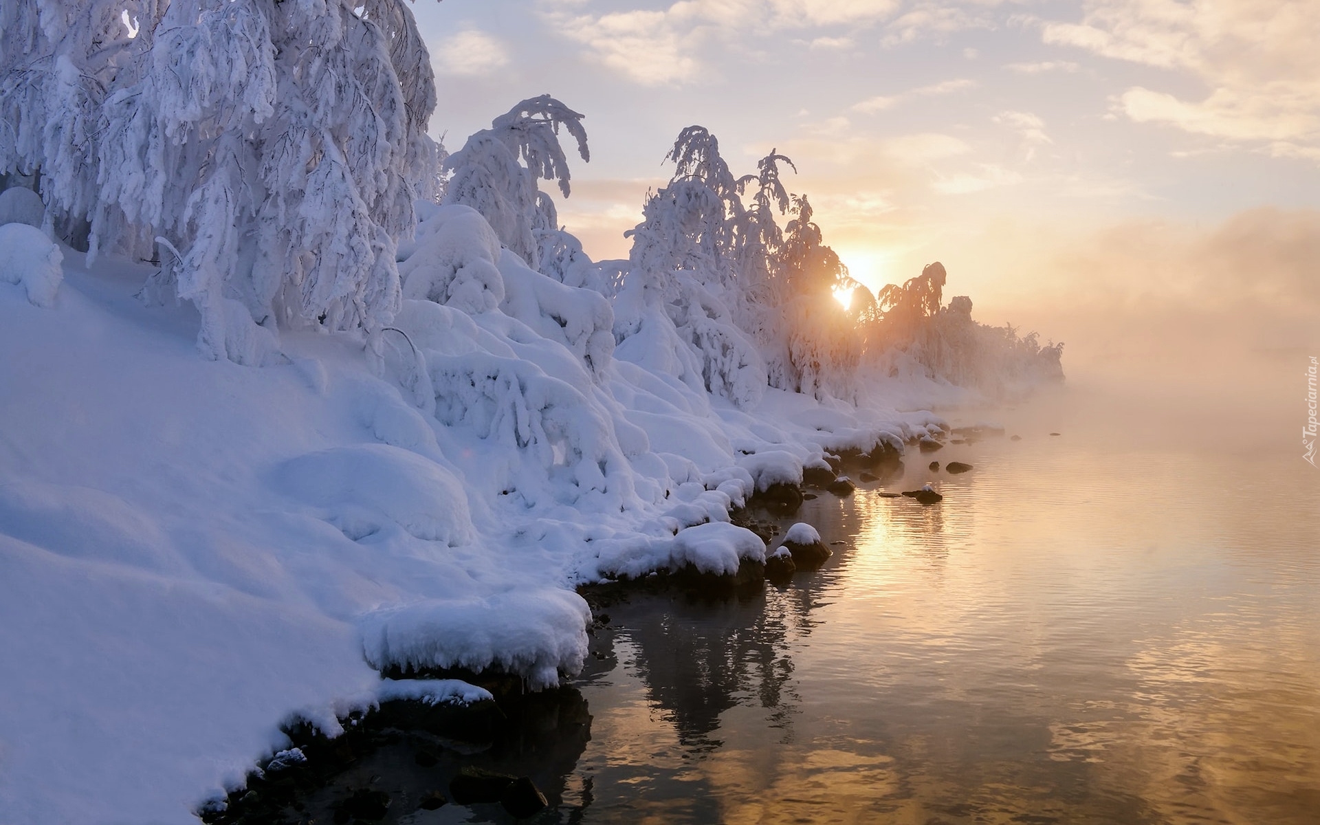 Ośnieżone, Drzewa, Zima, Śnieg, Jezioro, Mgła