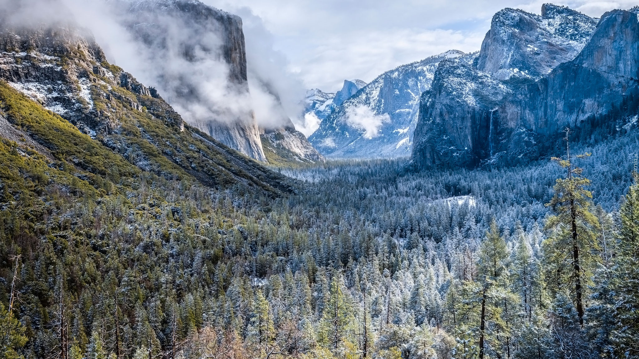 Zima, Góry, Drzewa, Formacja skalna, El Capitan, Park Narodowy Yosemite, Kalifornia, Stany Zjednoczone