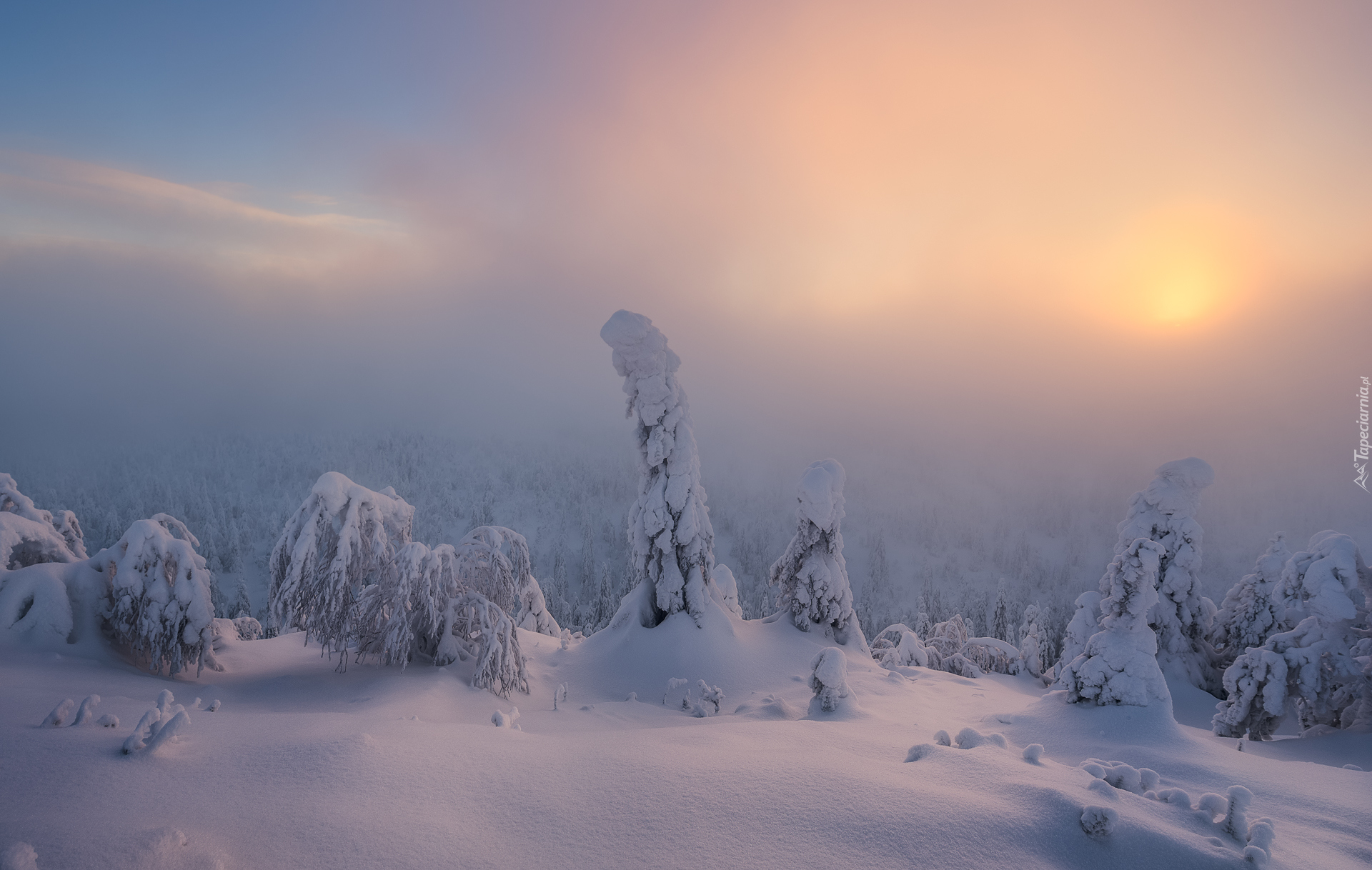 Zima, Drzewa, Mgła, Chmury, Wschód słońca