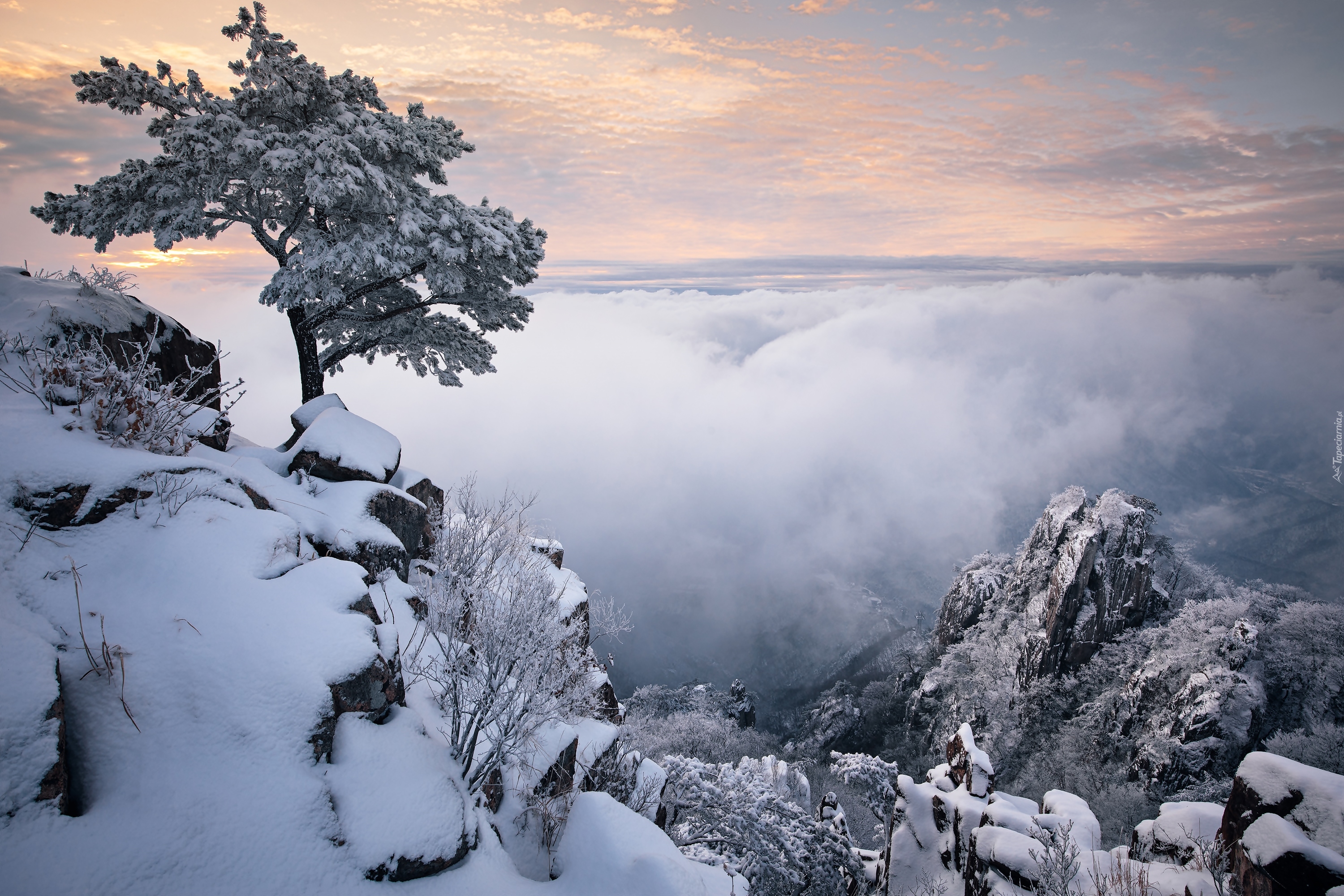 Zima, Góry, Mgła, Chmury, Drzewo, Park prowincjonalny Daedunsan, Jeolla Północna, Korea Południowa