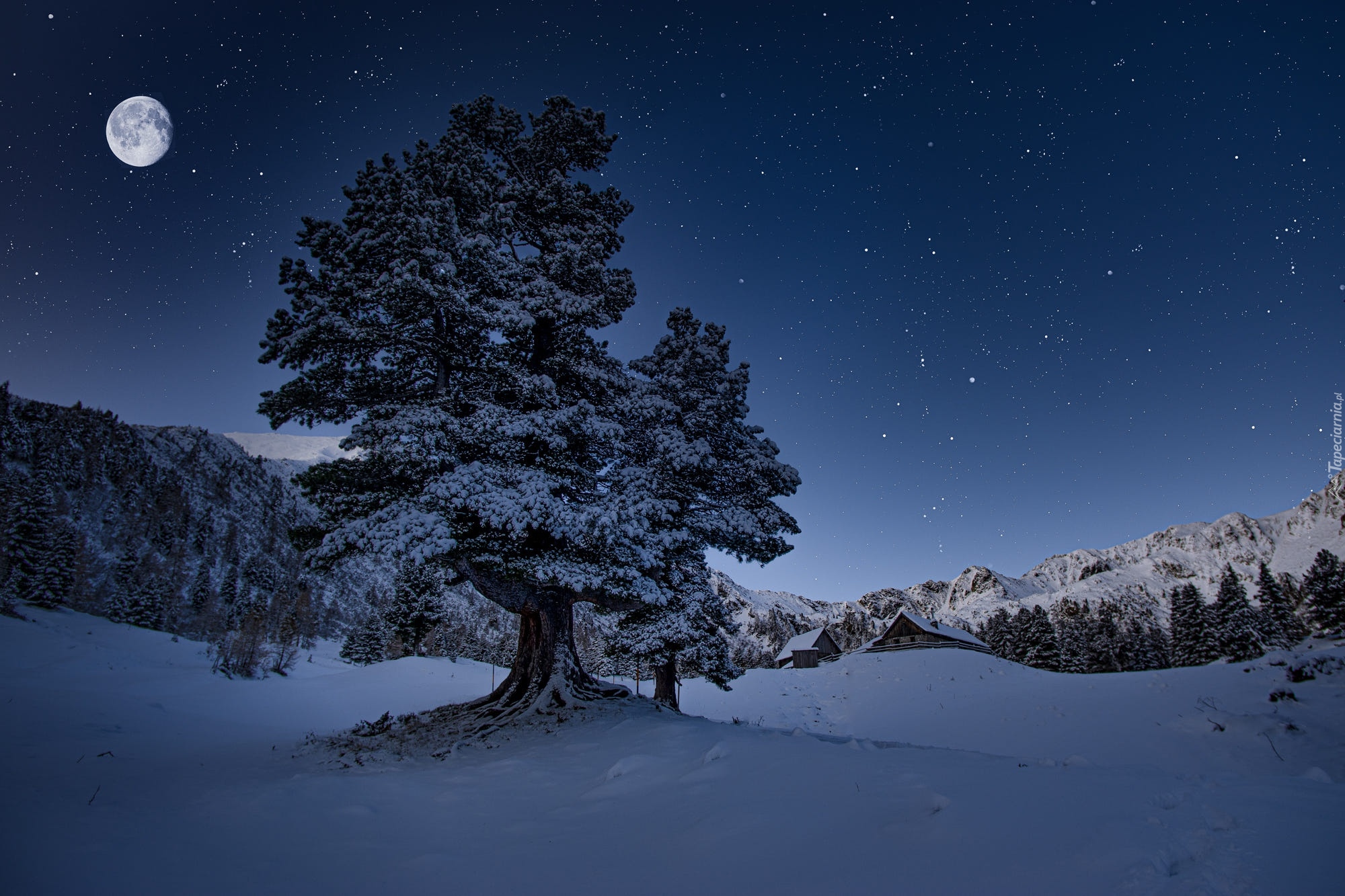 Zima, Noc, Księżyc, Gwiazdy, Drzewo, Góry, Las, Domy, Śnieg