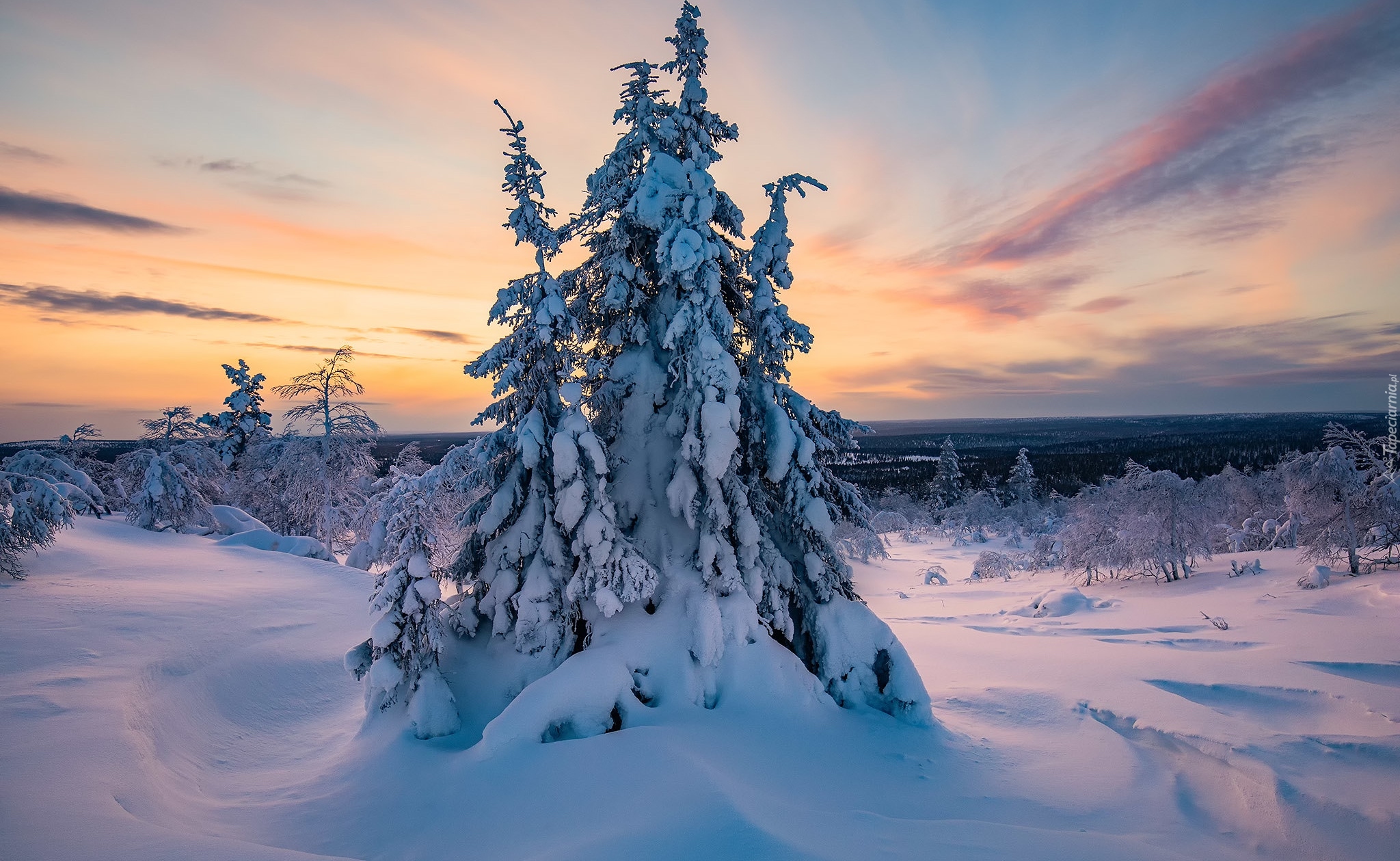 Lapland. Лапландия Финляндия. Пейзажи Лапландии. Финляндия зимой. Пейзажи Лапландии зимние.