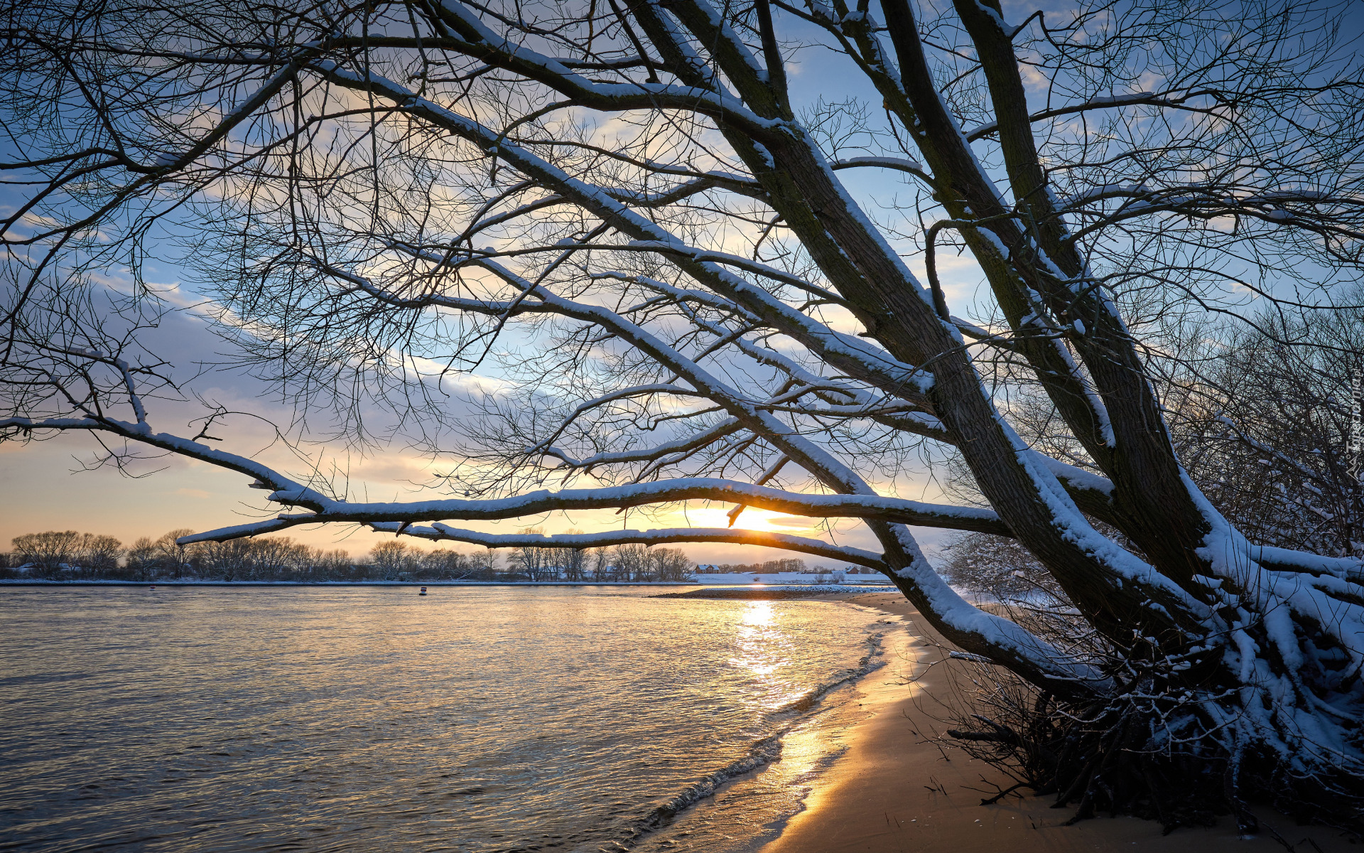 Zima, Śnieg, Staw, Drzewo, Gałęzie, Wschód słońca