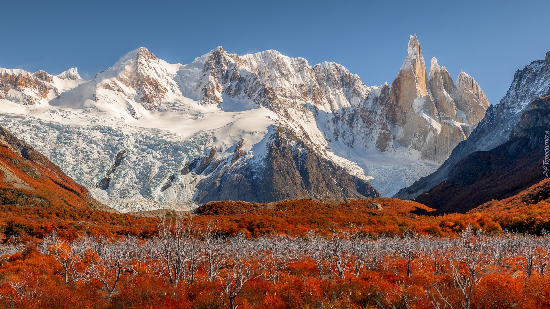 Argentyna, Patagonia, Park Narodowy Los Glaciares, El Chalten, Góry, Cerro Torre, Ośnieżone, Jesień, Roślinność