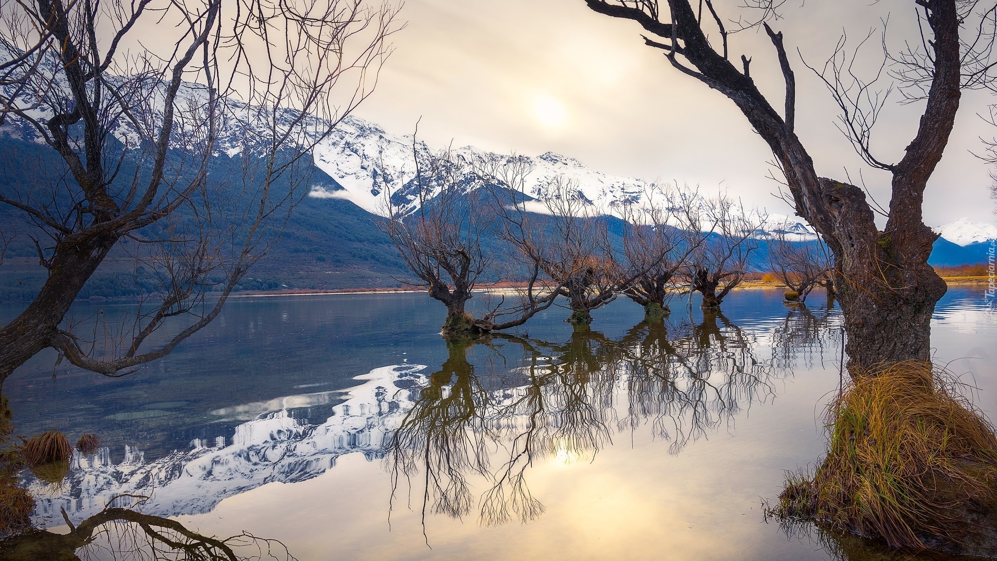 Ośnieżone, Góry, Rzeka, Dart River, Drzewa, Odbicie, Glenorchy, Nowa Zelandia