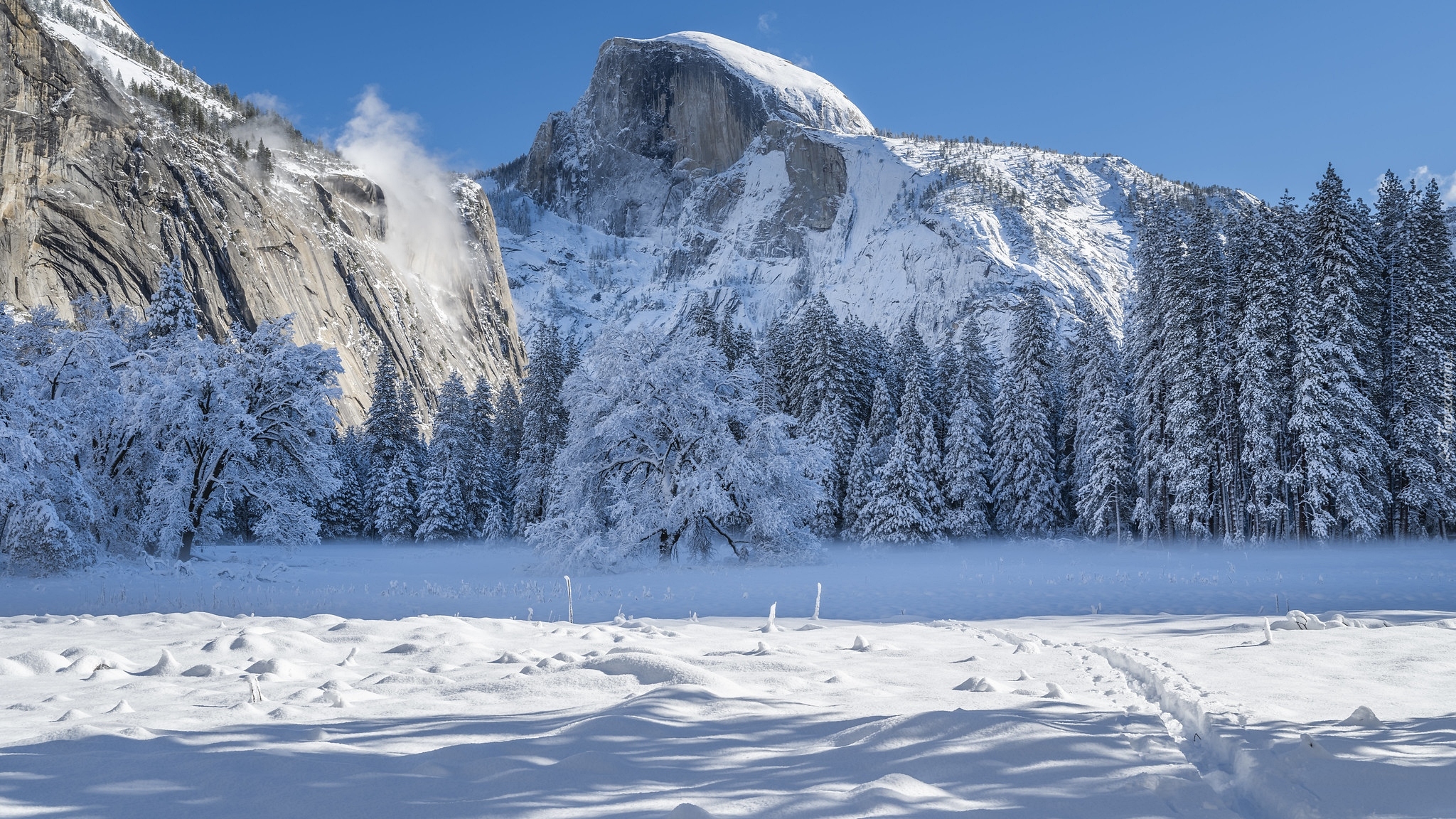 Park Narodowy Yosemite, Góry, Sierra Nevada, Śnieg, Drzewa, Zima, Kalifornie, Stany Zjednoczone