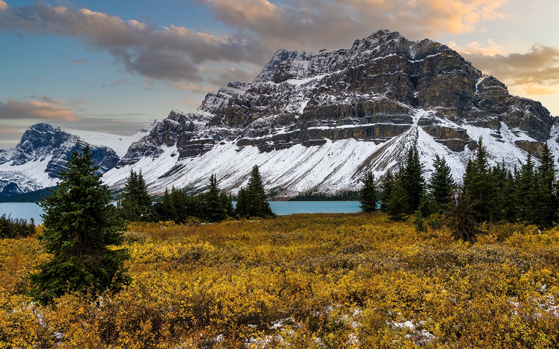Góry, Chmury, Jezioro, Bow Lake, Polana, Drzewa, Świerki, Prowincja, Alberta, Park Narodowy Banff, Kanada