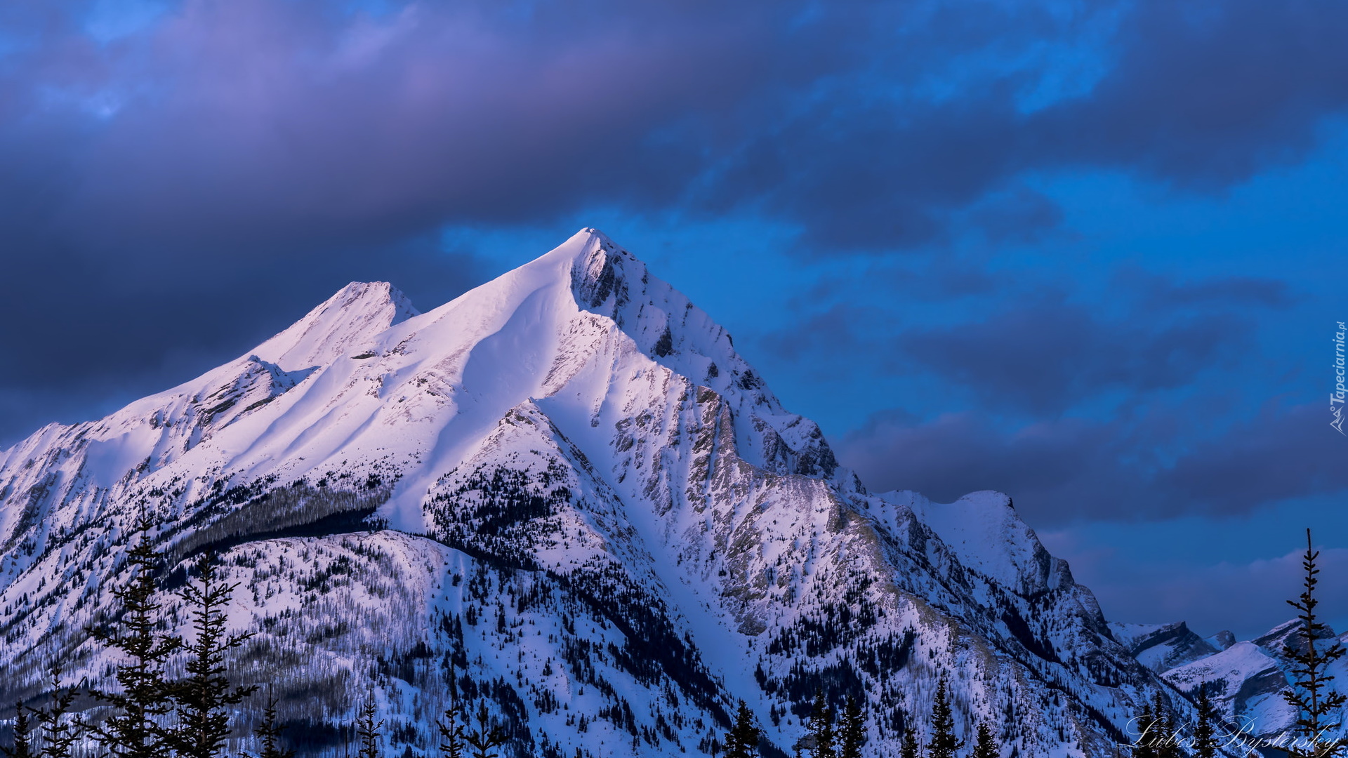 Zima, Góry Skaliste, Szczyt, Peter Lougheed Park, Alberta, Kanada