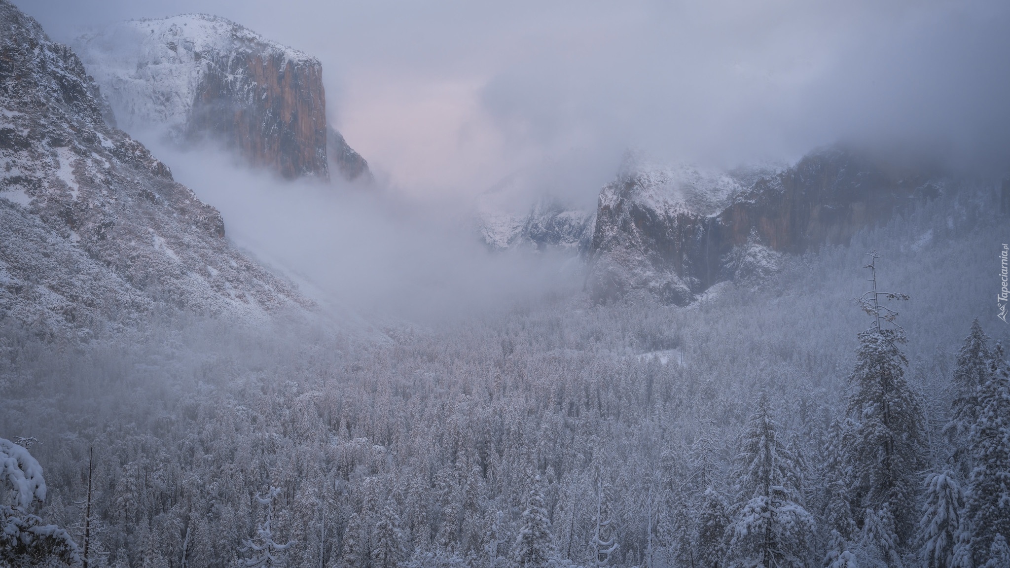 Stany Zjednoczone, Kalifornia, Zima, Góry, Sierra Nevada, Ośnieżone, Drzewa, Mgła, Park Narodowy Yosemite