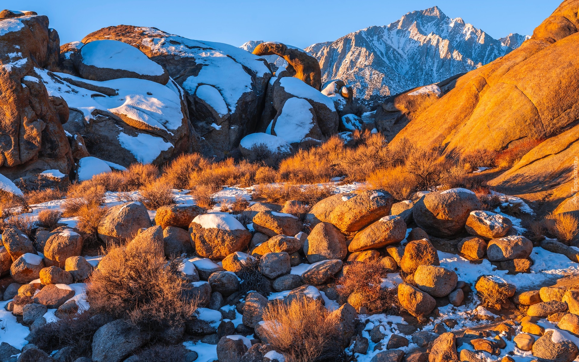 Skały, Śnieg, Krzewy, Góry, Alabama Hills, Hrabstwo Inyo, Kalifornia, Stany Zjednoczone