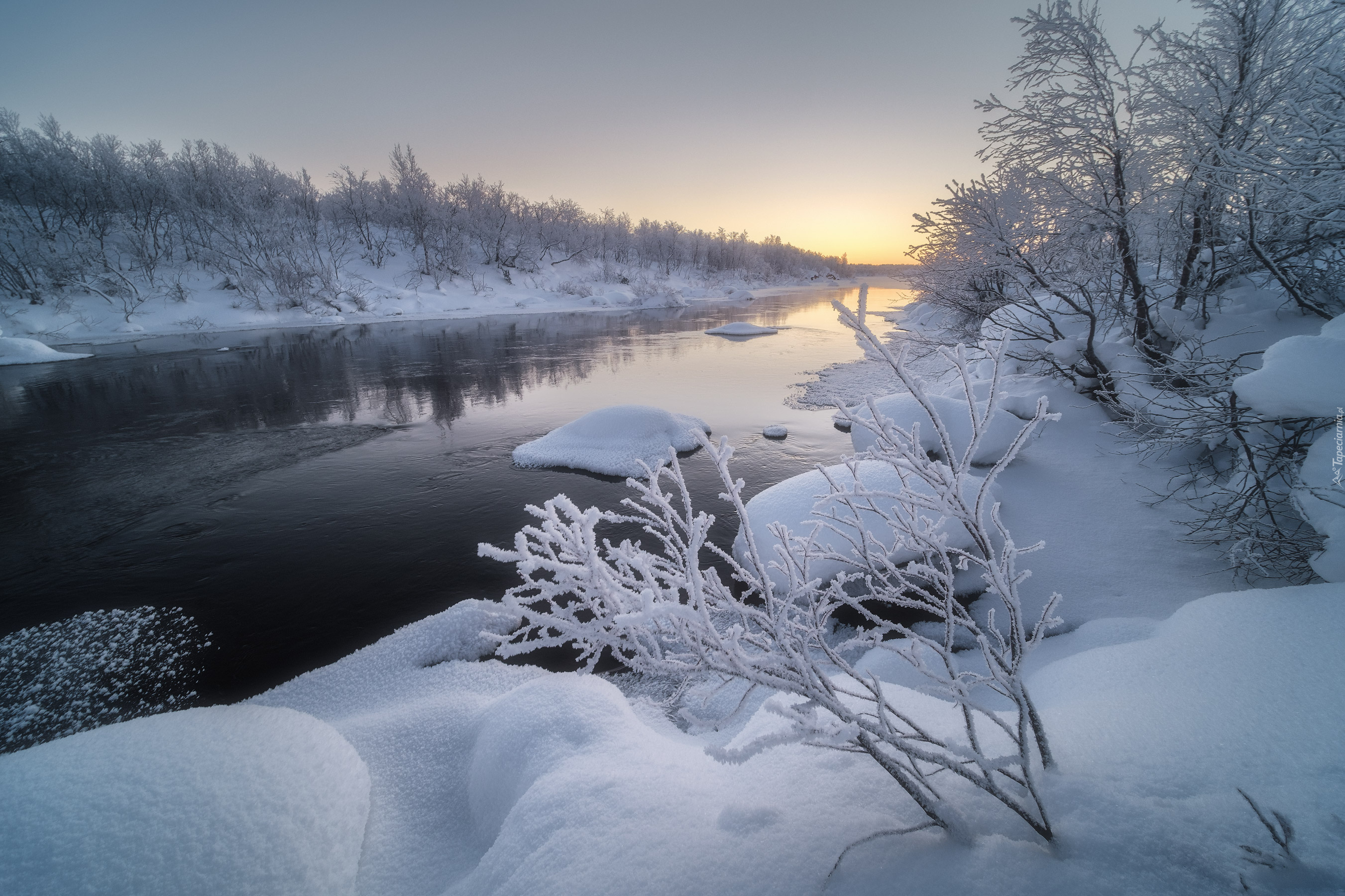 Zima, Śnieg, Oszronione, Drzewa, Krzewy, Rzeka, Półwysep Kolski, Obwód murmański, Rosja