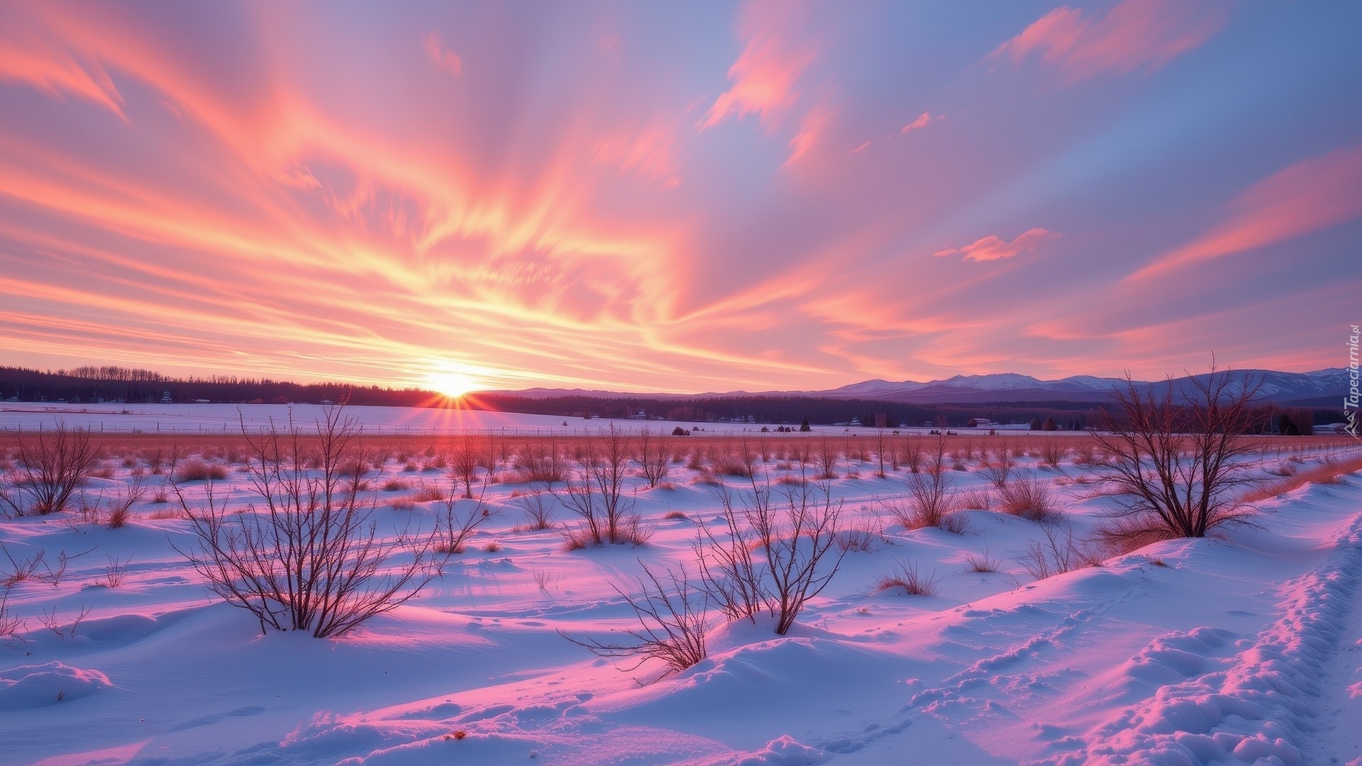 Zima, Zachód słońca, Kolorowe, Niebo, Ośnieżone, Pola