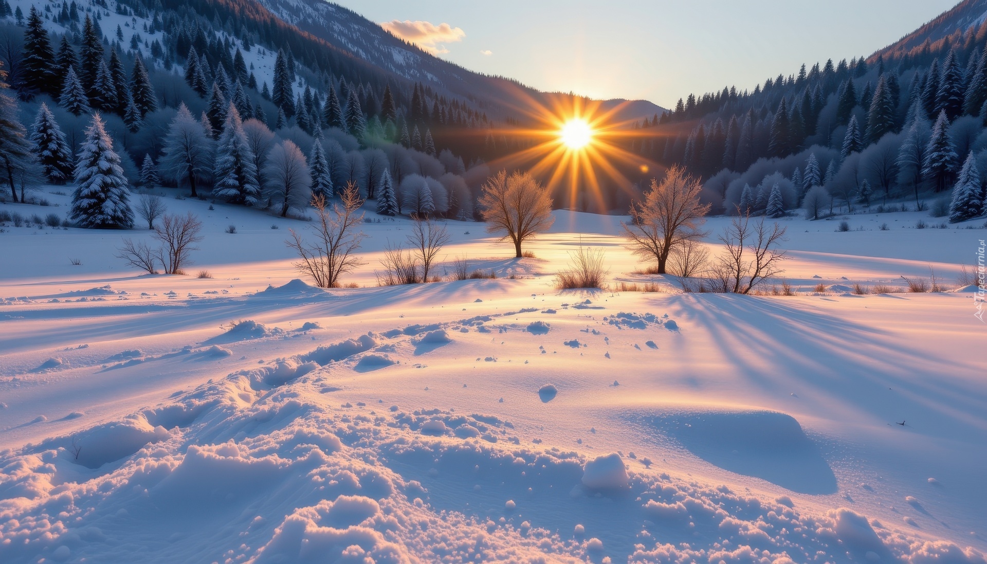 Zima, Pole, Drzewa, Las, Góry, Wschód słońca, Poranek, Grafika AI