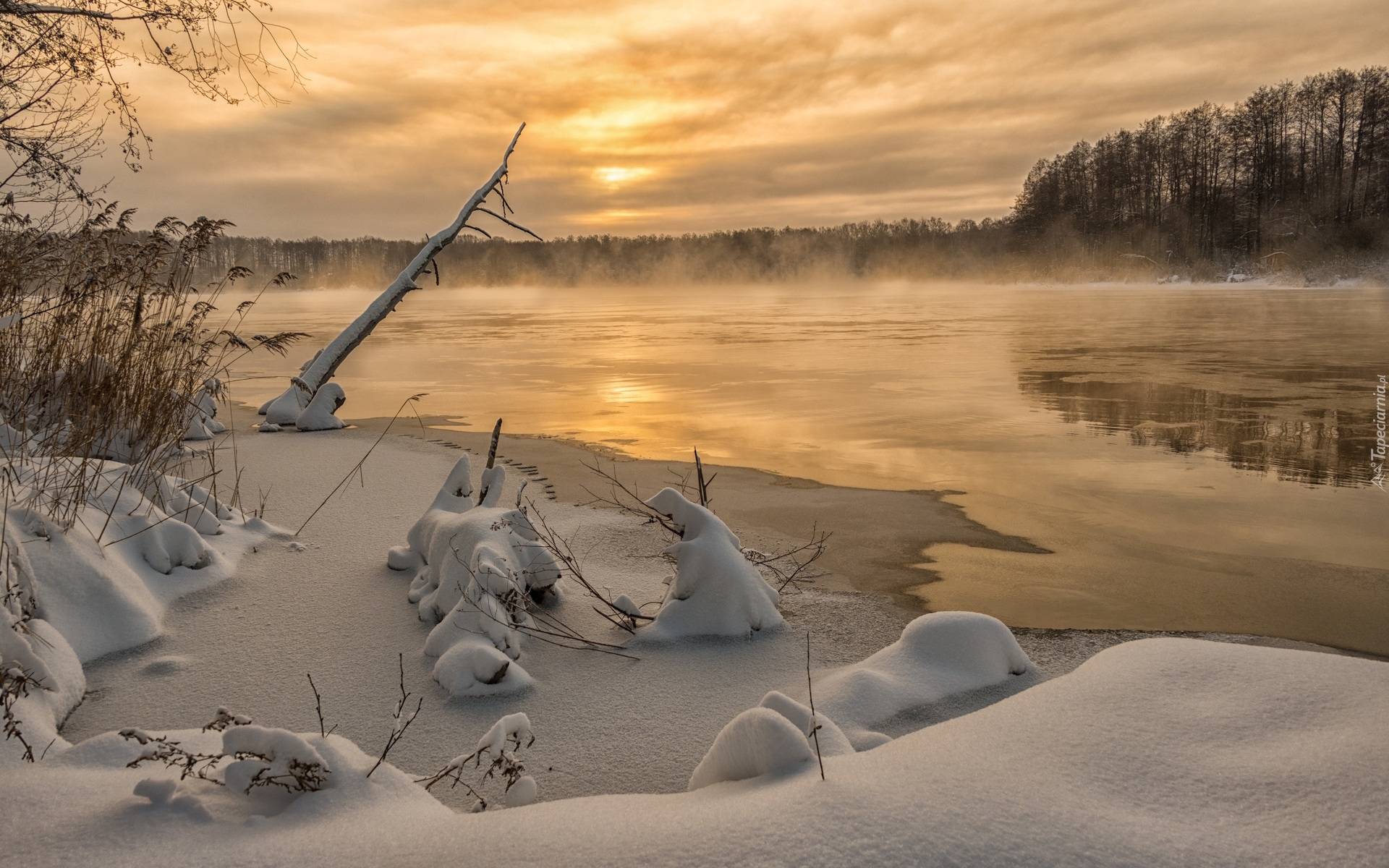 Zima, Jezioro, Śnieg, Las, Mgła