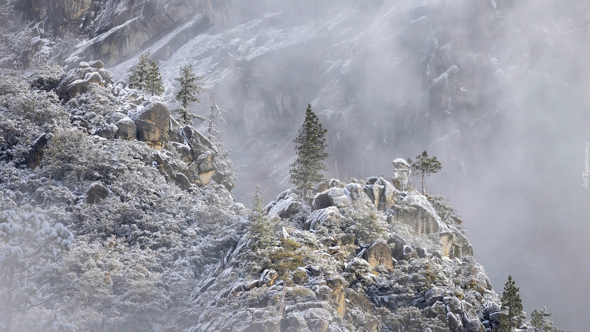 Park Narodowy Yosemite, Kalifornia, Stany Zjednoczone, Góry, Skały, Drzewa, Mgła