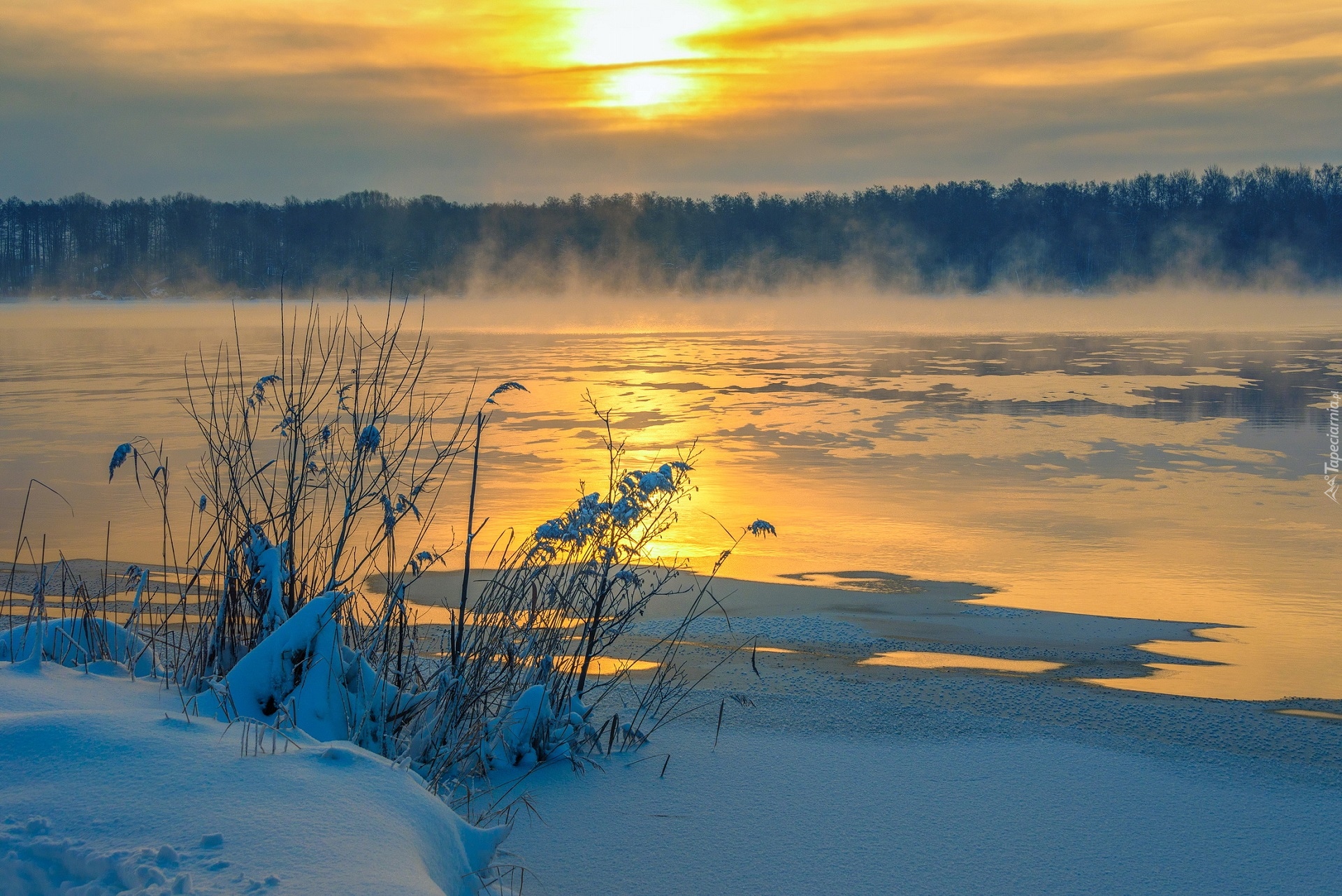 Zima, Jezioro, Mgła, Las, Ośnieżone, Trawy, Śnieg, Zachód słońca