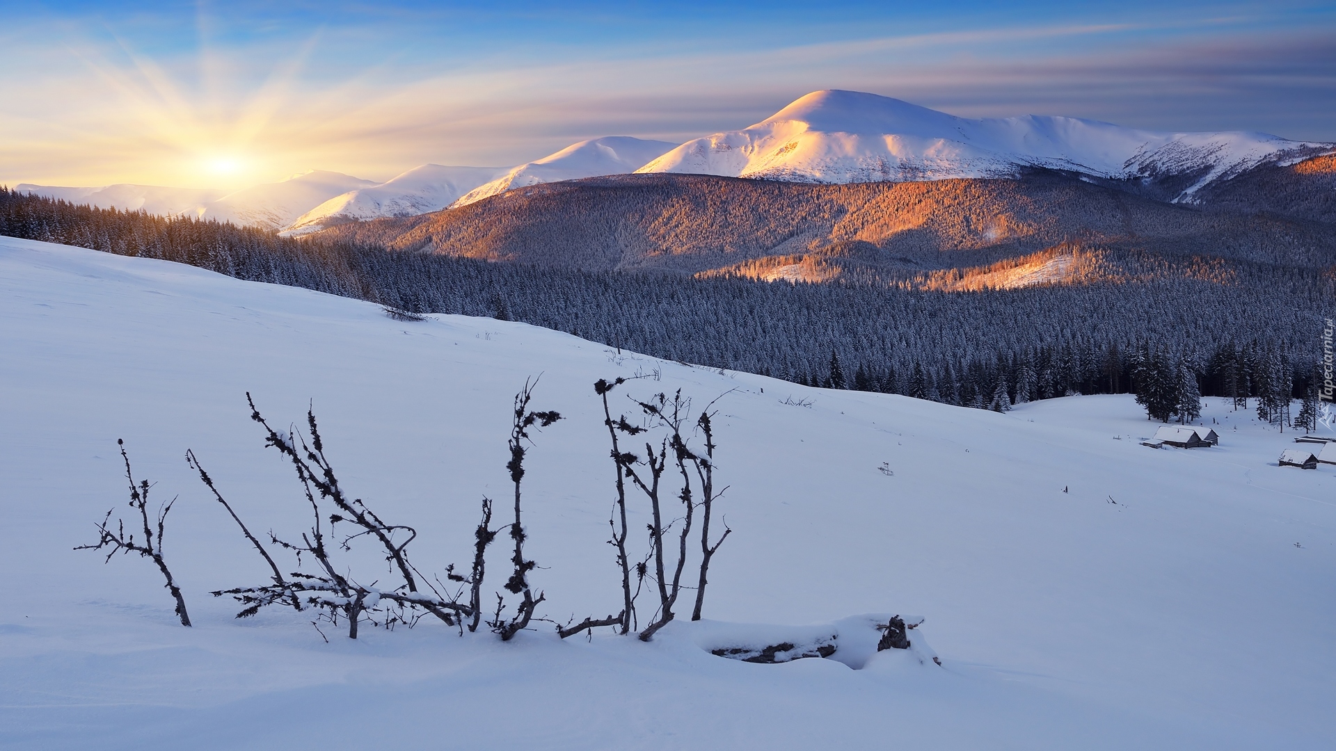 Ukraina, Góry Karpaty, Las, Zima, Wschód słońca