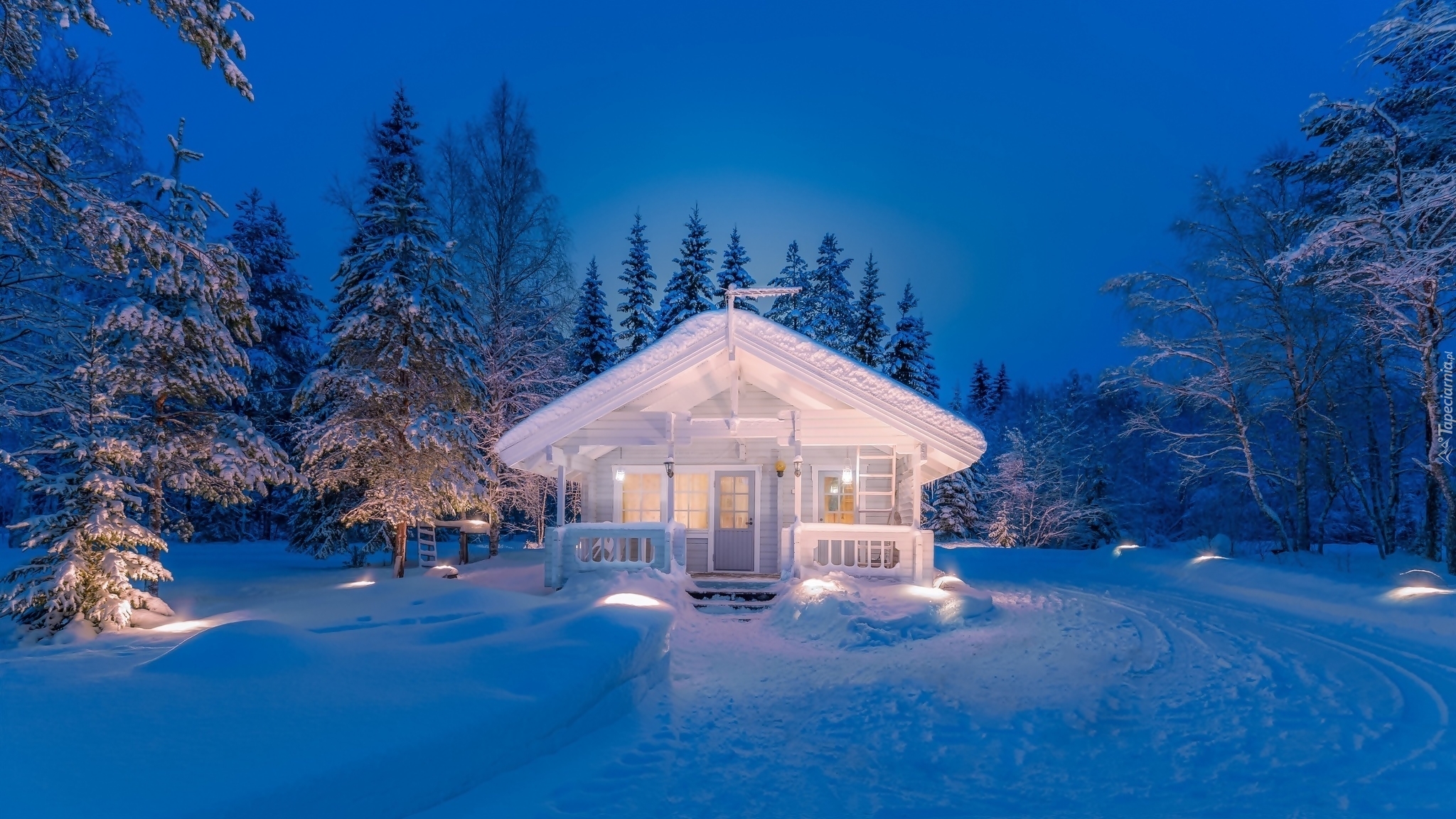 зима деревья дом снег без смс