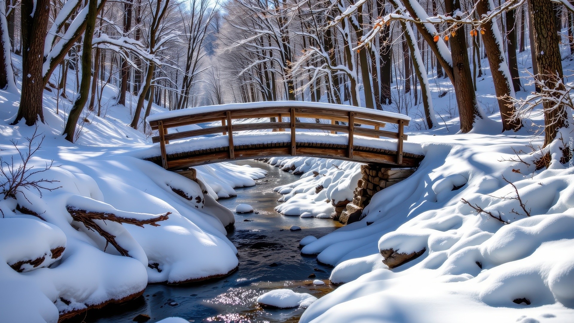Zima, Las, Drzewa, Rzeka, Ośnieżony, Drewniany, Most